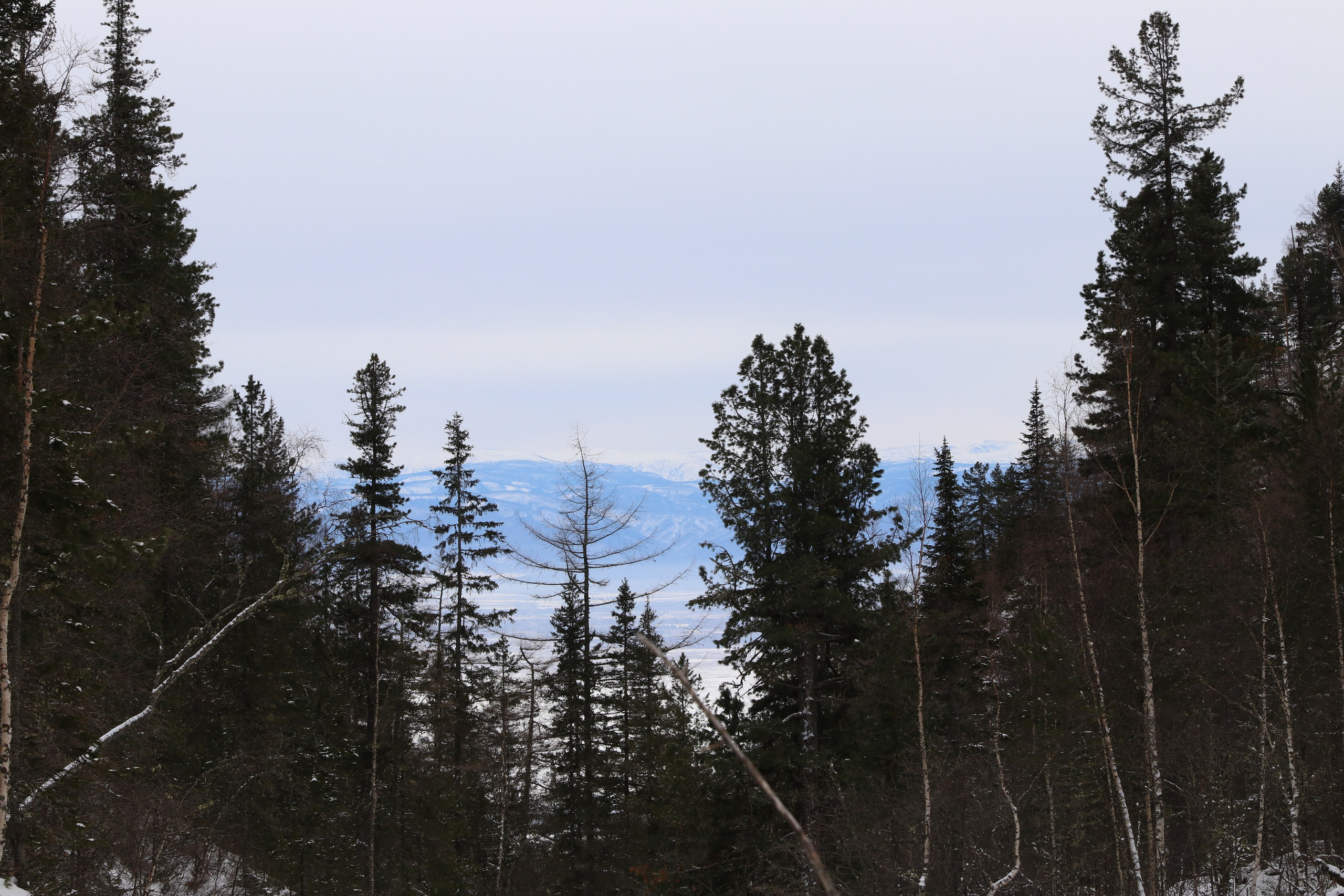 Аршан. Январь 2024. Путешественник-фотограф из Санкт-Петербурга Татьяна Свистулина