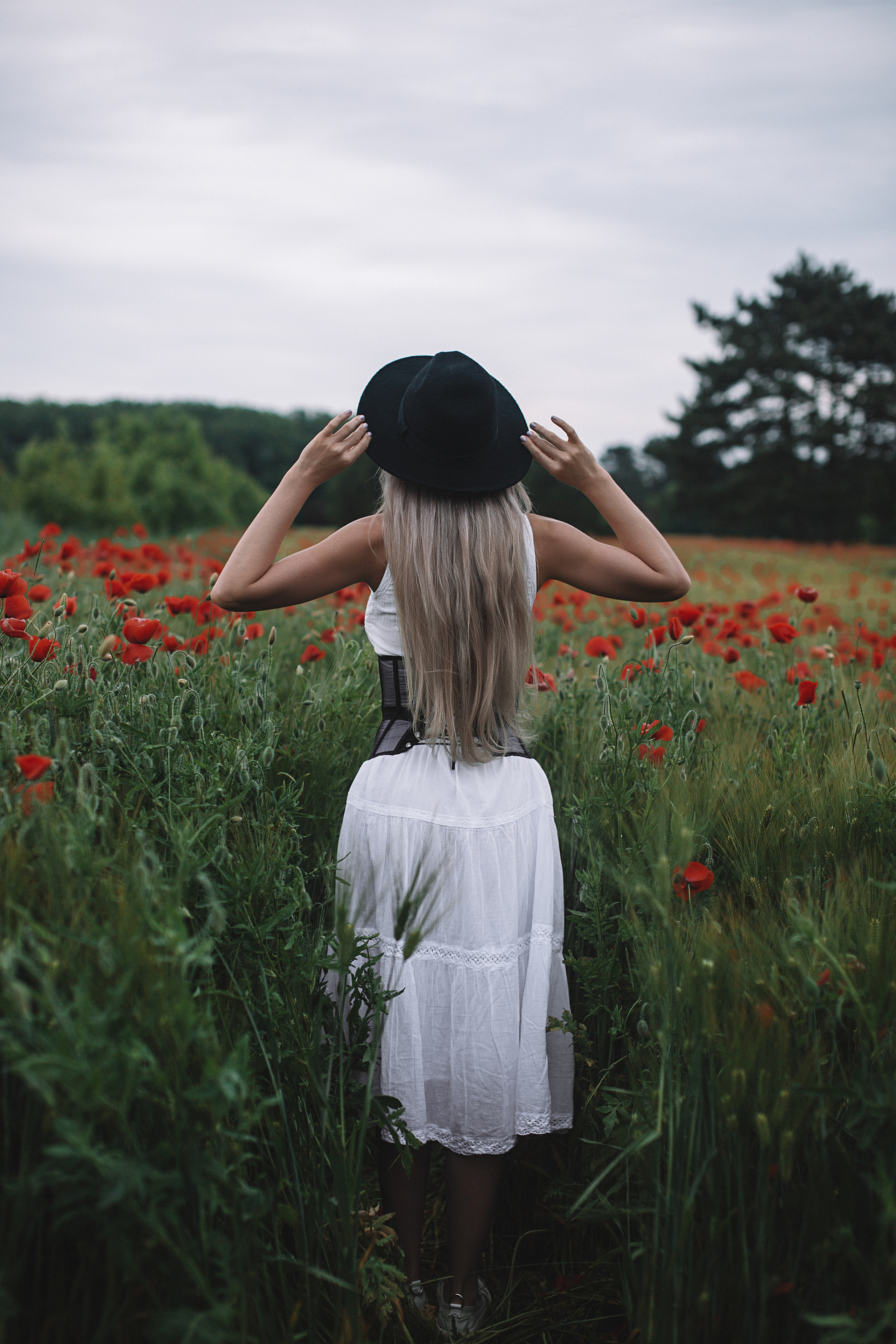 Фотосессия в маках. Свадебный и семейный фотограф/видеограф в Краснодаре Наталья Осинская