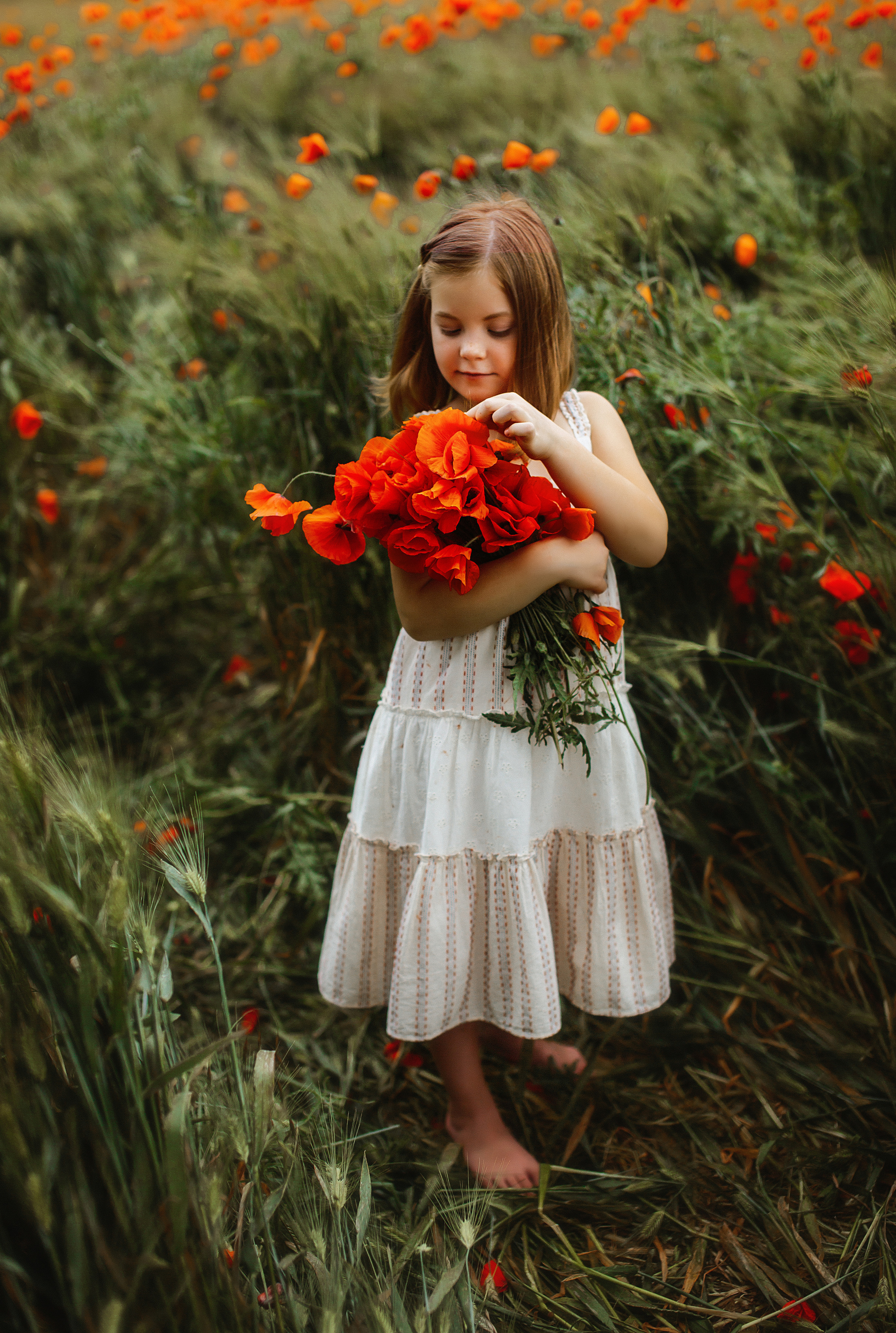 Фотосессия в маковом поле. Свадебный и семейный фотограф/видеограф в Краснодаре Наталья Осинская