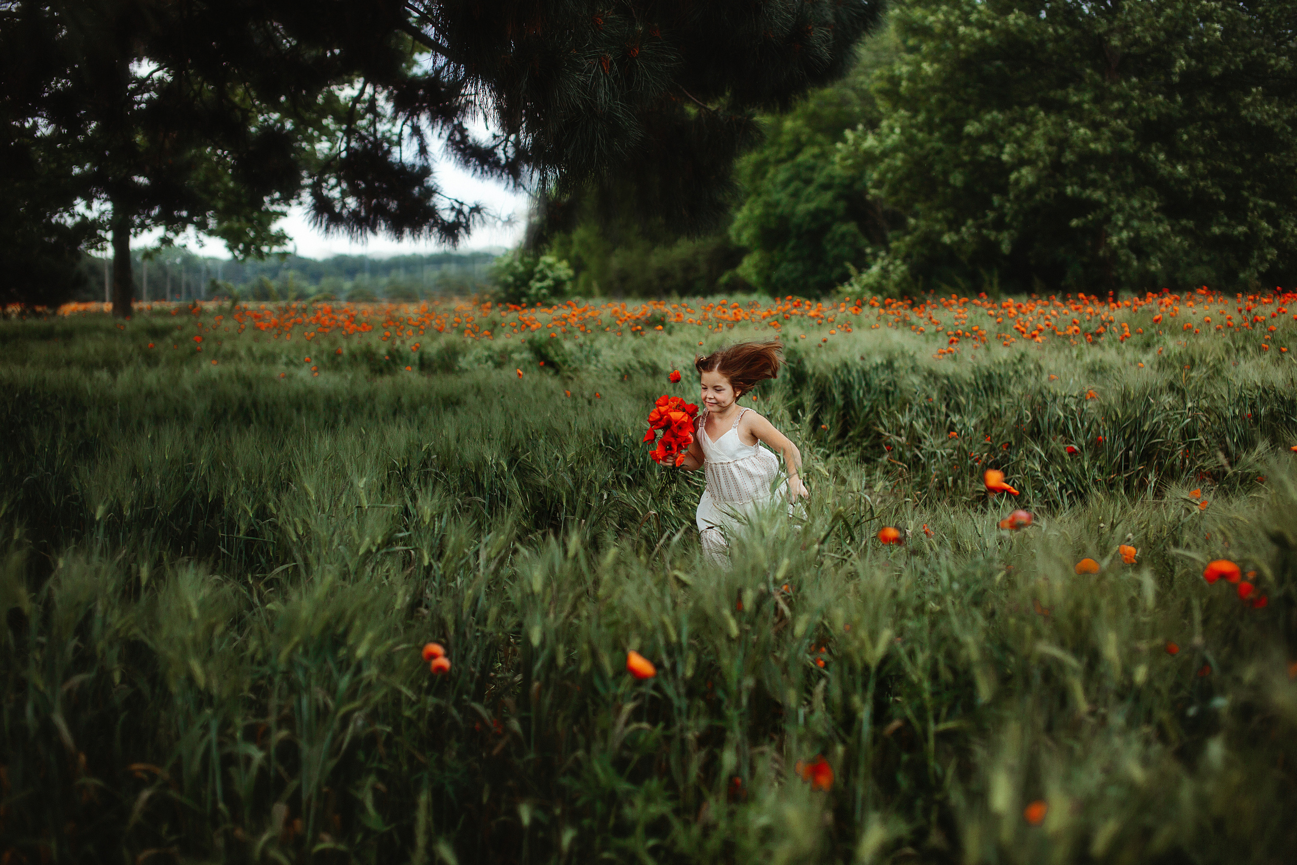 Фотосессия в маковом поле. Свадебный и семейный фотограф/видеограф в Краснодаре Наталья Осинская