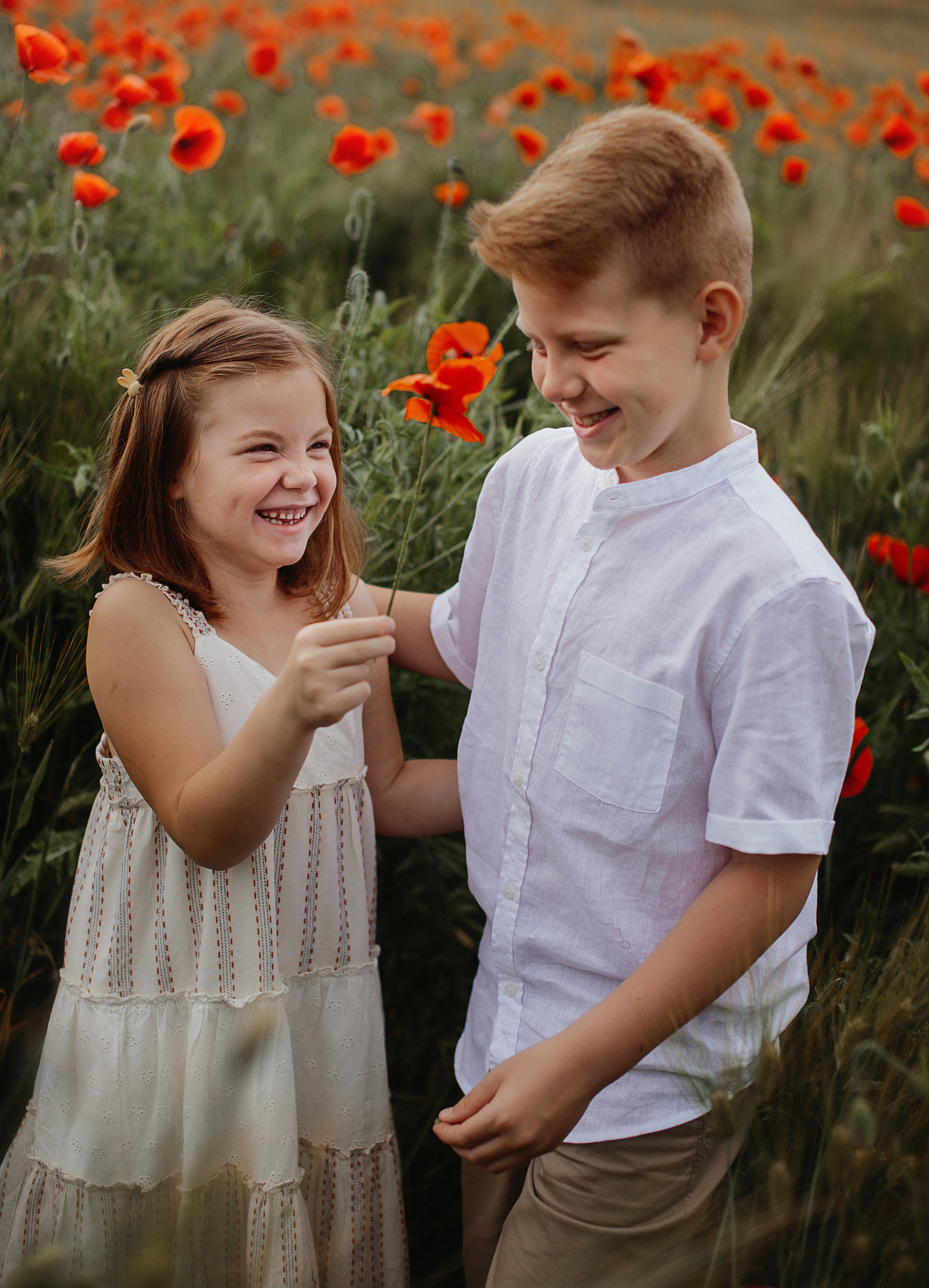 Фотосессия в маковом поле. Свадебный и семейный фотограф/видеограф в Краснодаре Наталья Осинская