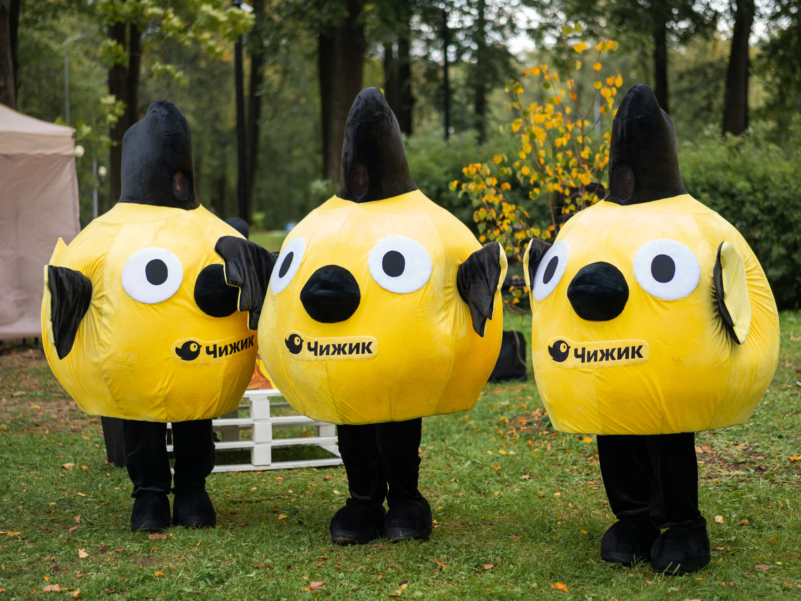 День знаний вместе с чижиком. Фотограф Москва