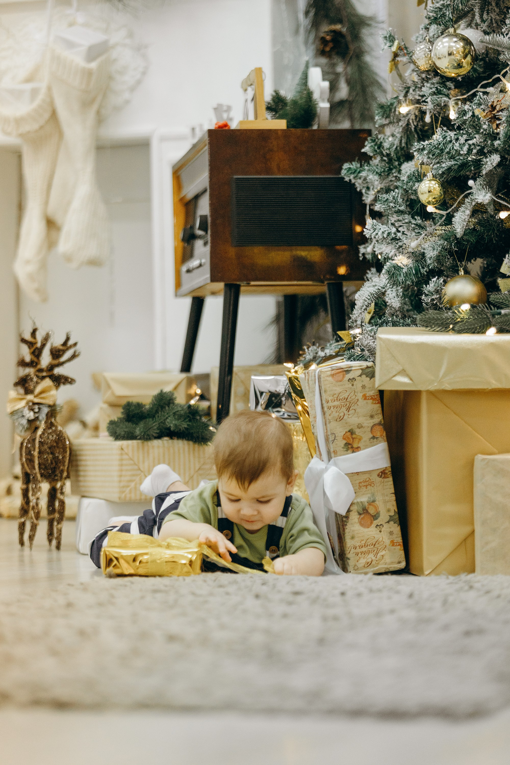 Семейная съемка в фотостудии. Фотограф. Фотограф-анималист. Москва
