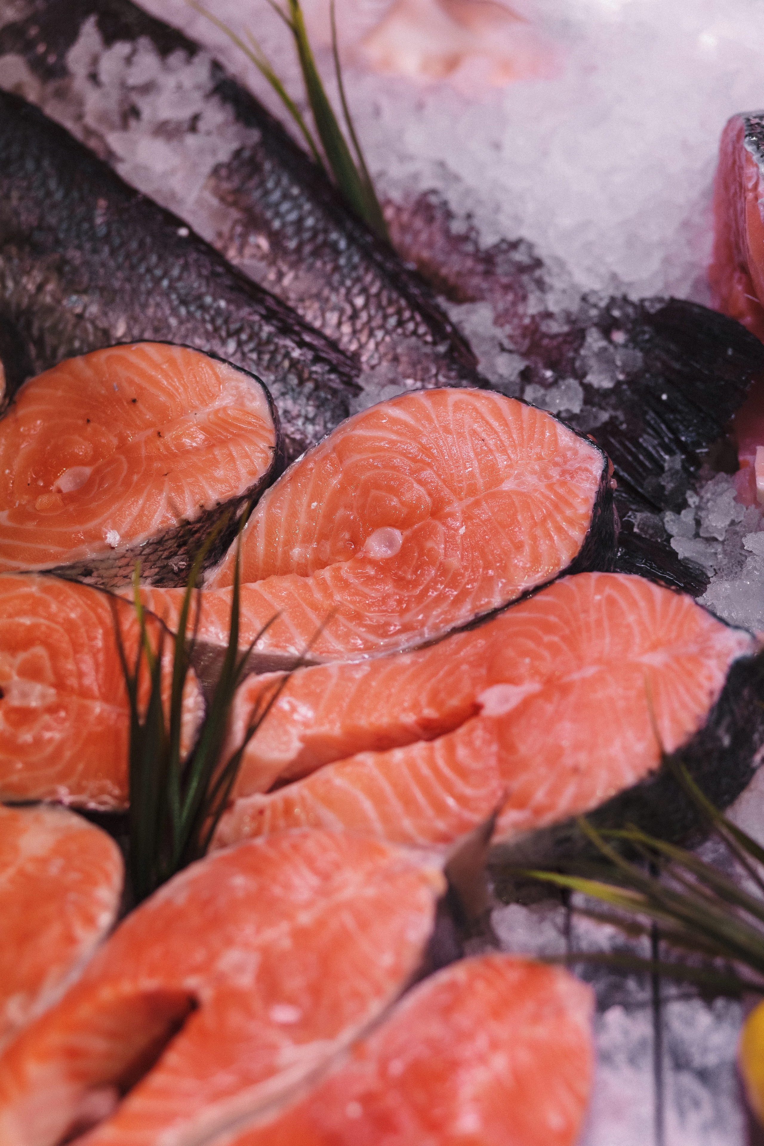 Открытие Сети Магазинов морепродуктов 'Дикая Устрица' в Таганроге. Свадебный и семейный фотограф в Таганроге Бакарюк Антон