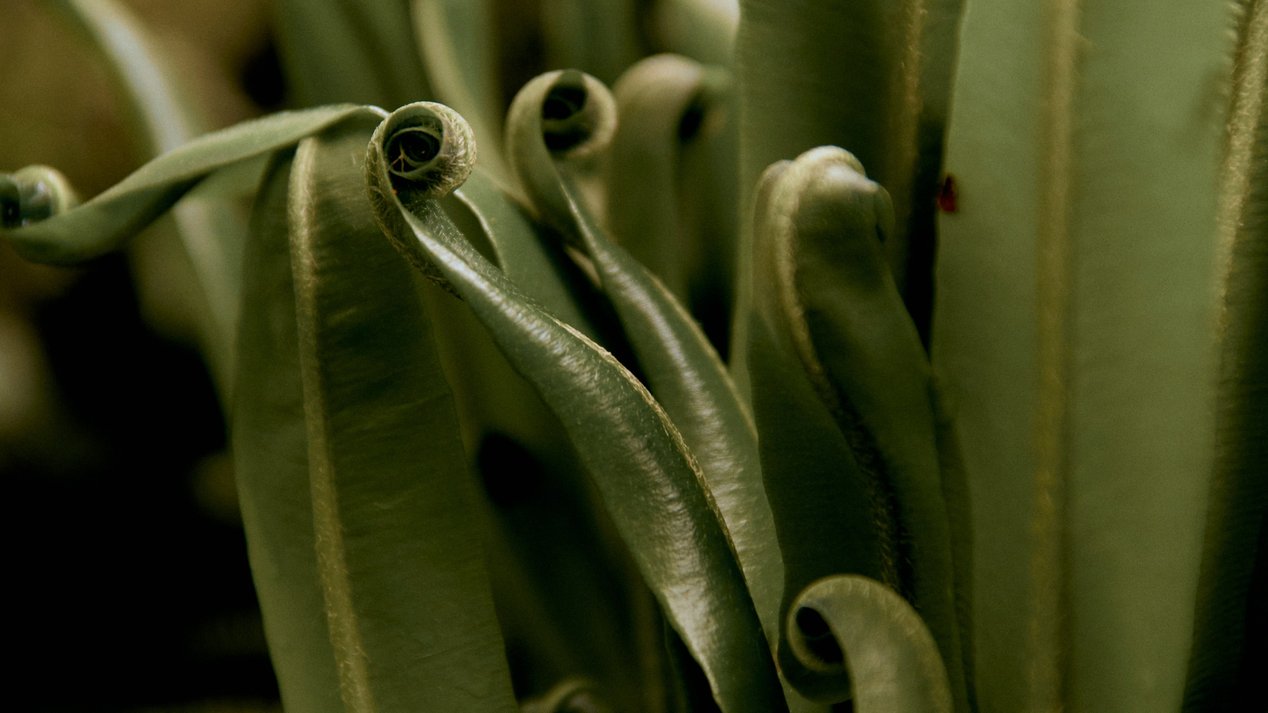 TRAVEL. EVGENYA PERESADOVA