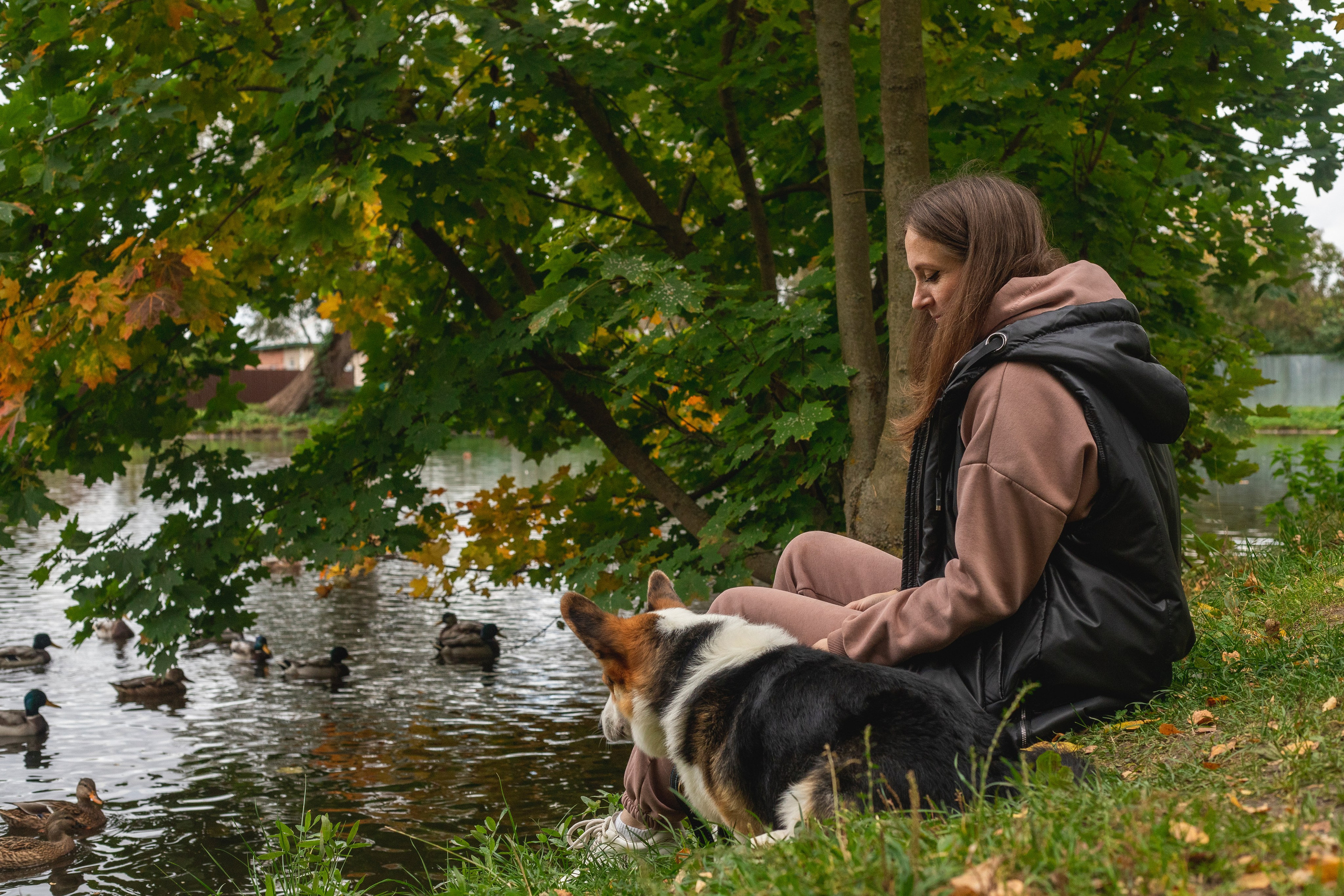Портфолио. Фотограф-анималист Анна Леонтьева • Москва