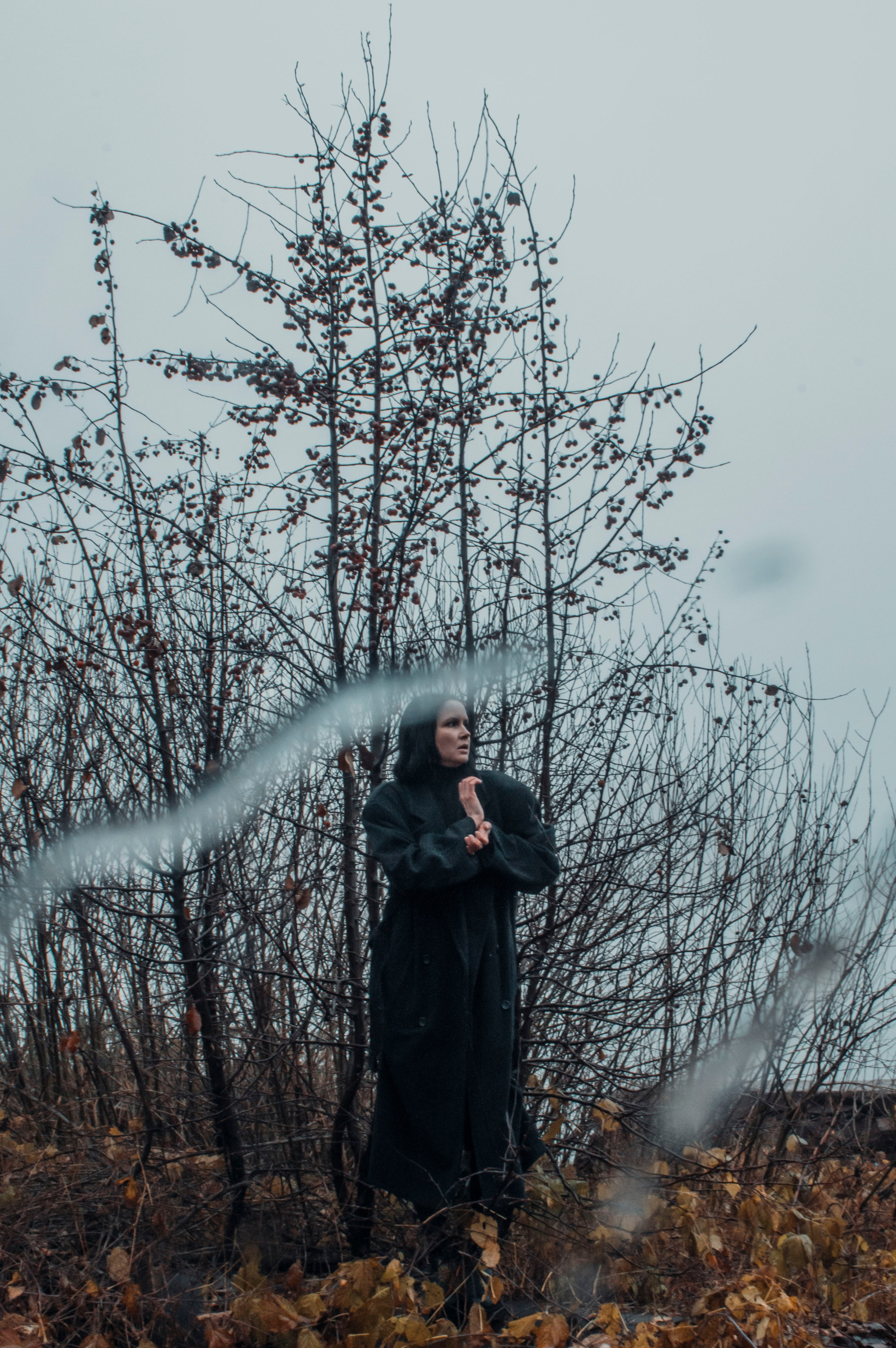 Маргарита. Главная