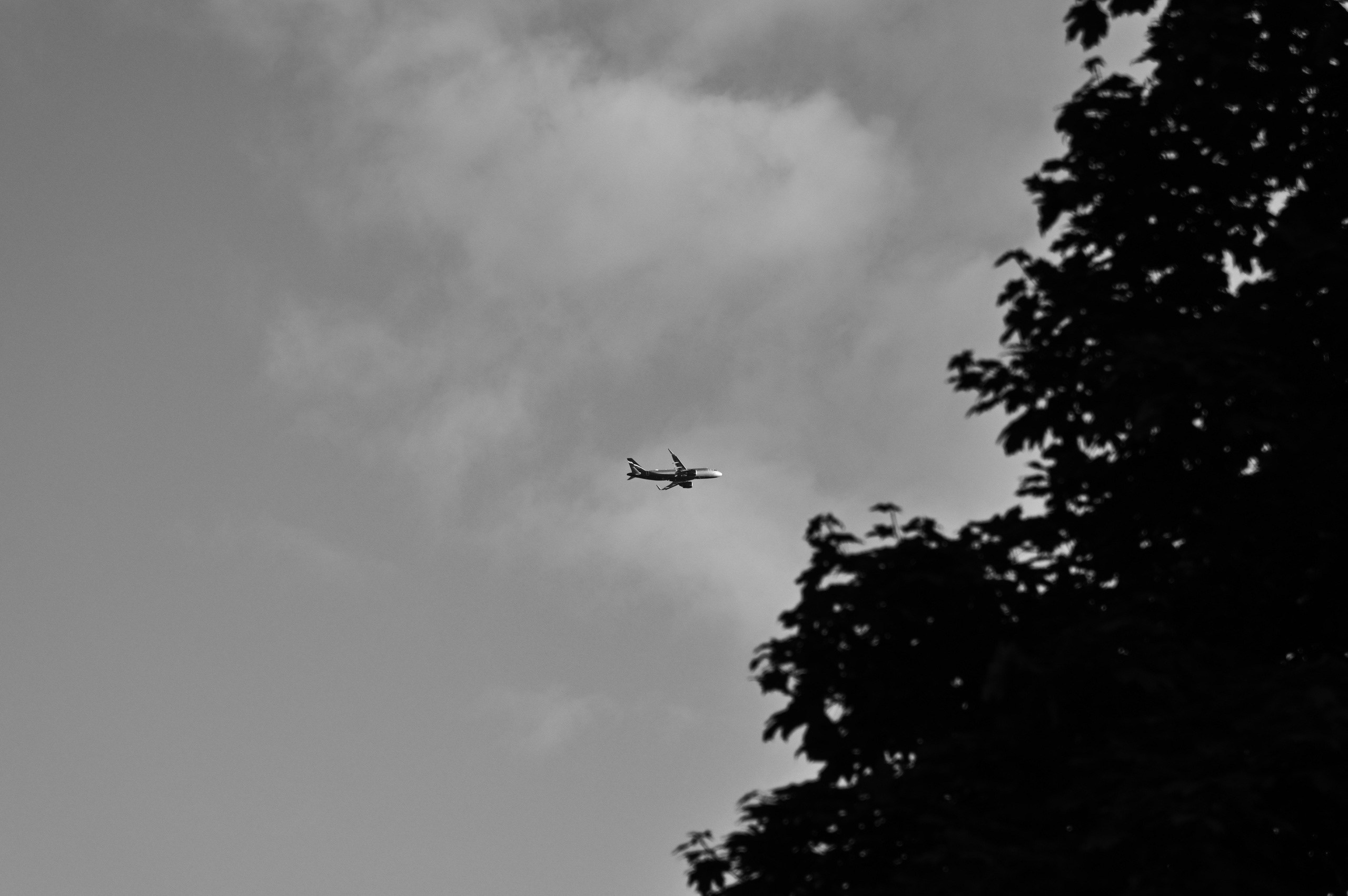 Услуги. Фотограф в Санкт-Петербурге Мякинина Надежда