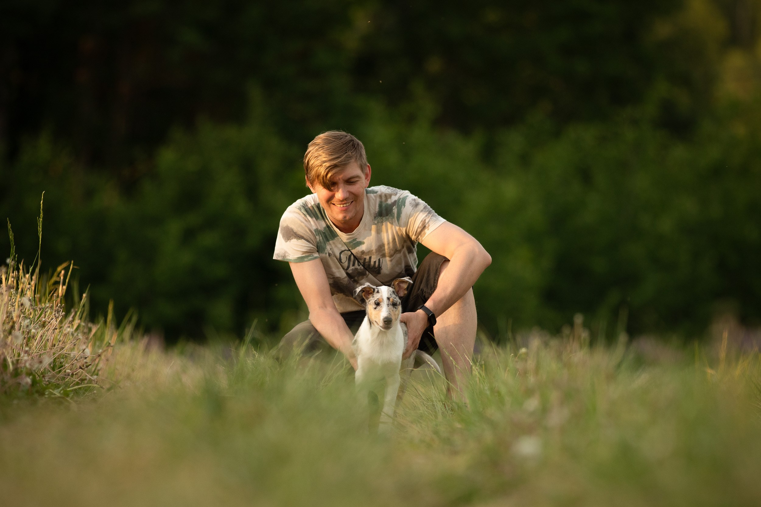 Щенок короткошерстной колли в 3 месяца на прогулке в поле. Фотограф-анималист в Москве и Московской области Татьяна Фролова
