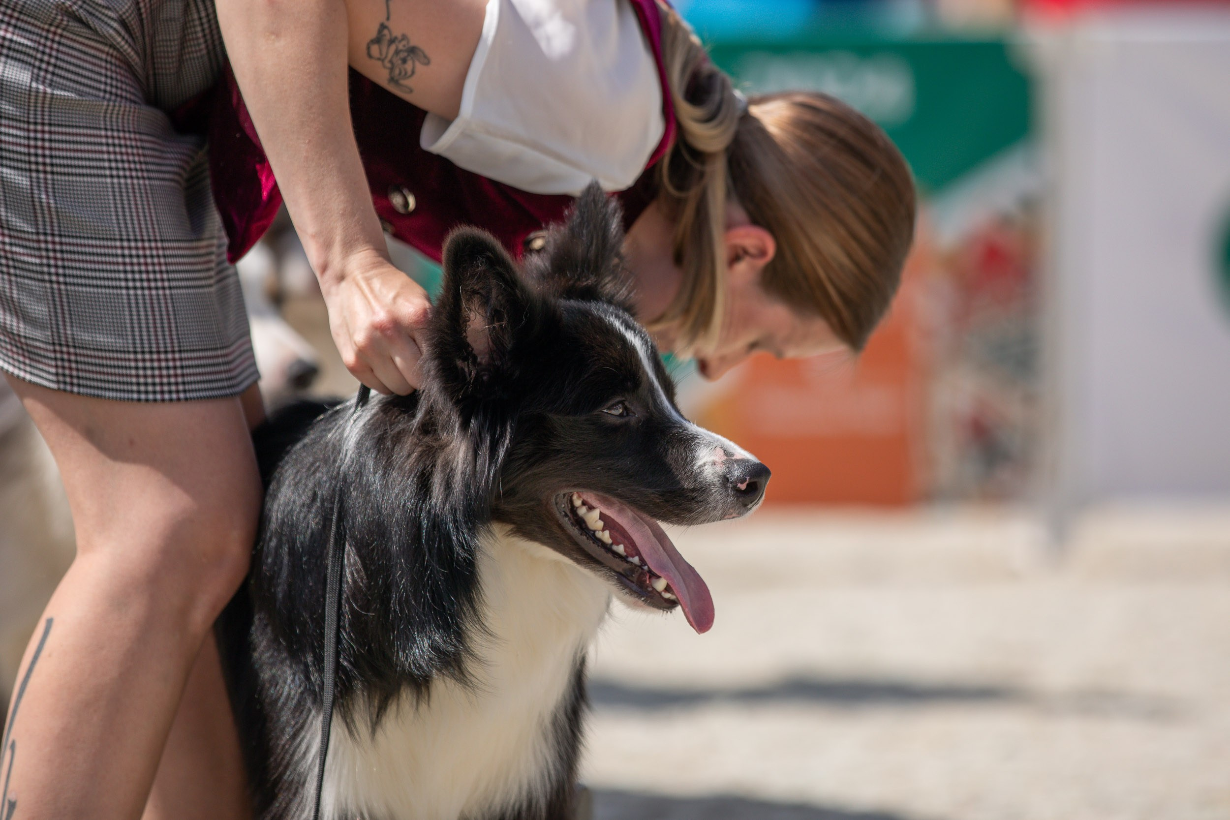 Репортаж с выставки Россия. Фотограф-анималист в Москве и Московской области Татьяна Фролова