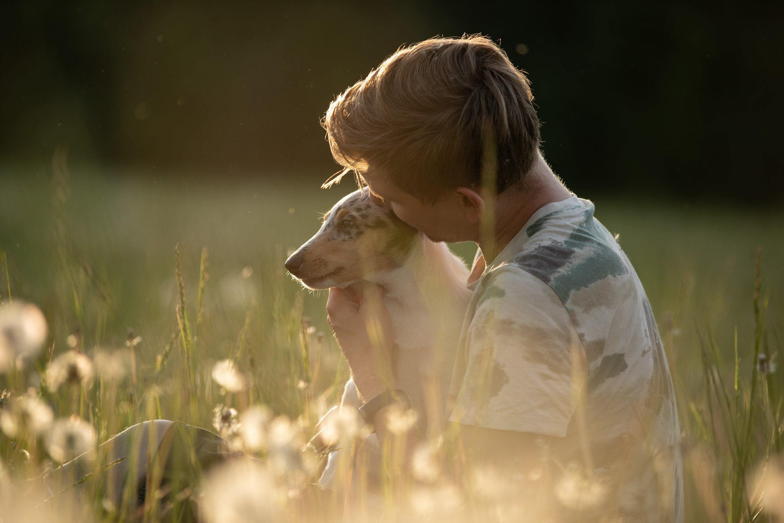 Щенок короткошерстной колли в 3 месяца на прогулке в поле. Фотограф-анималист в Москве и Московской области Татьяна Фролова