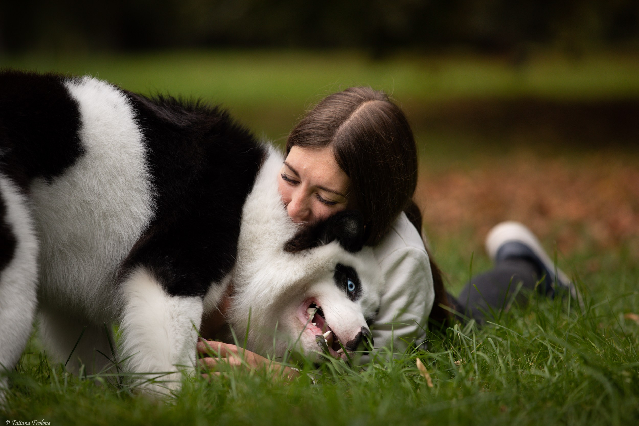 Небольшая фотосессия в Москве после выставки собак. Фотограф-анималист в Москве и Московской области Татьяна Фролова