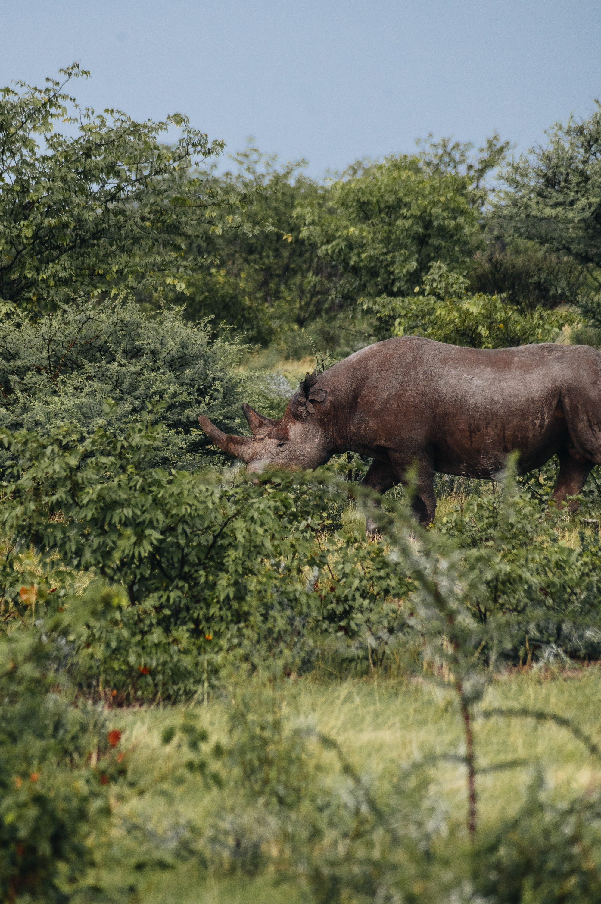 НАМИБИЯ. Роадтрип