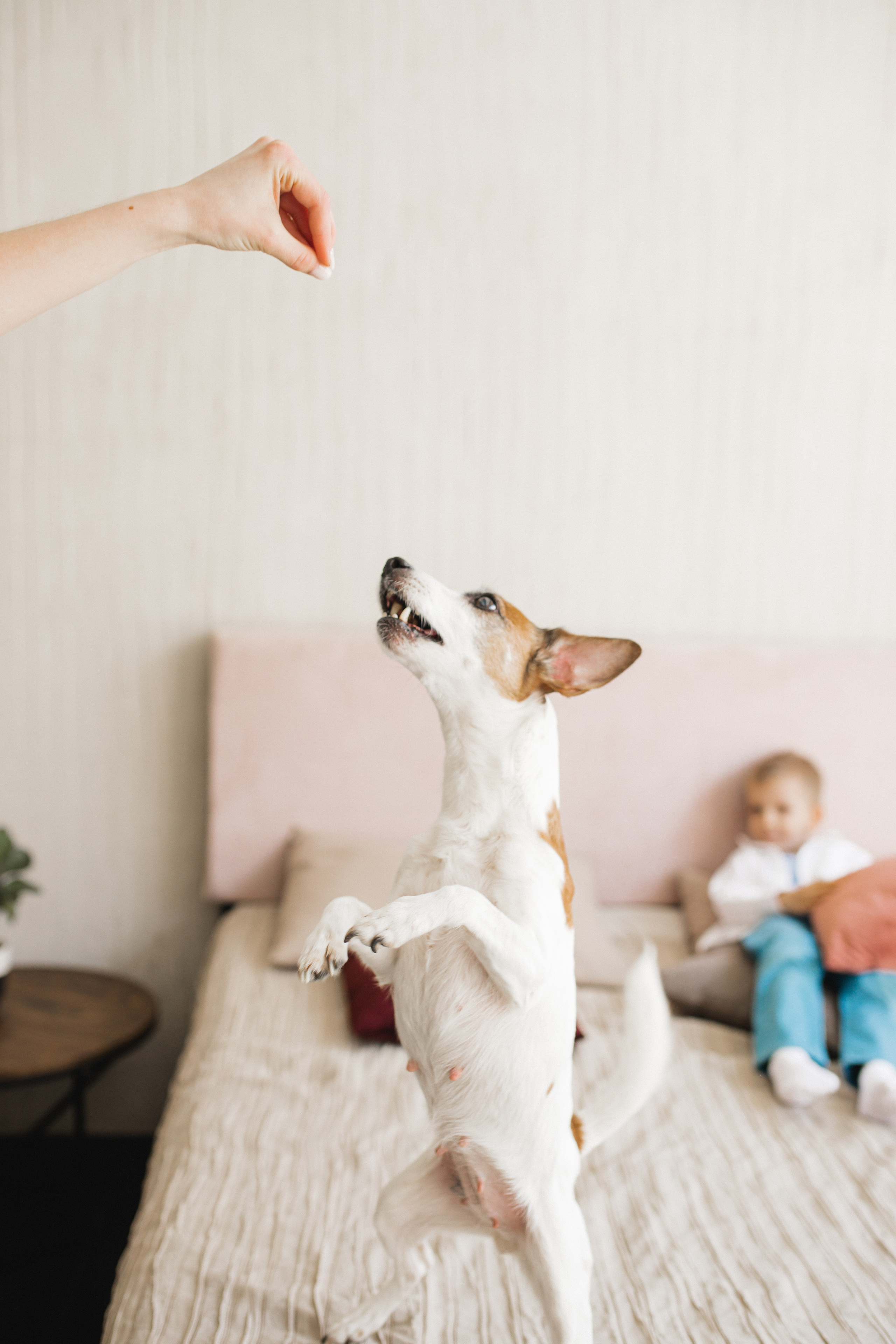 Женя и ее семья. Семейный и свадебный фотограф в Екатеринбурге Орлова Ирина