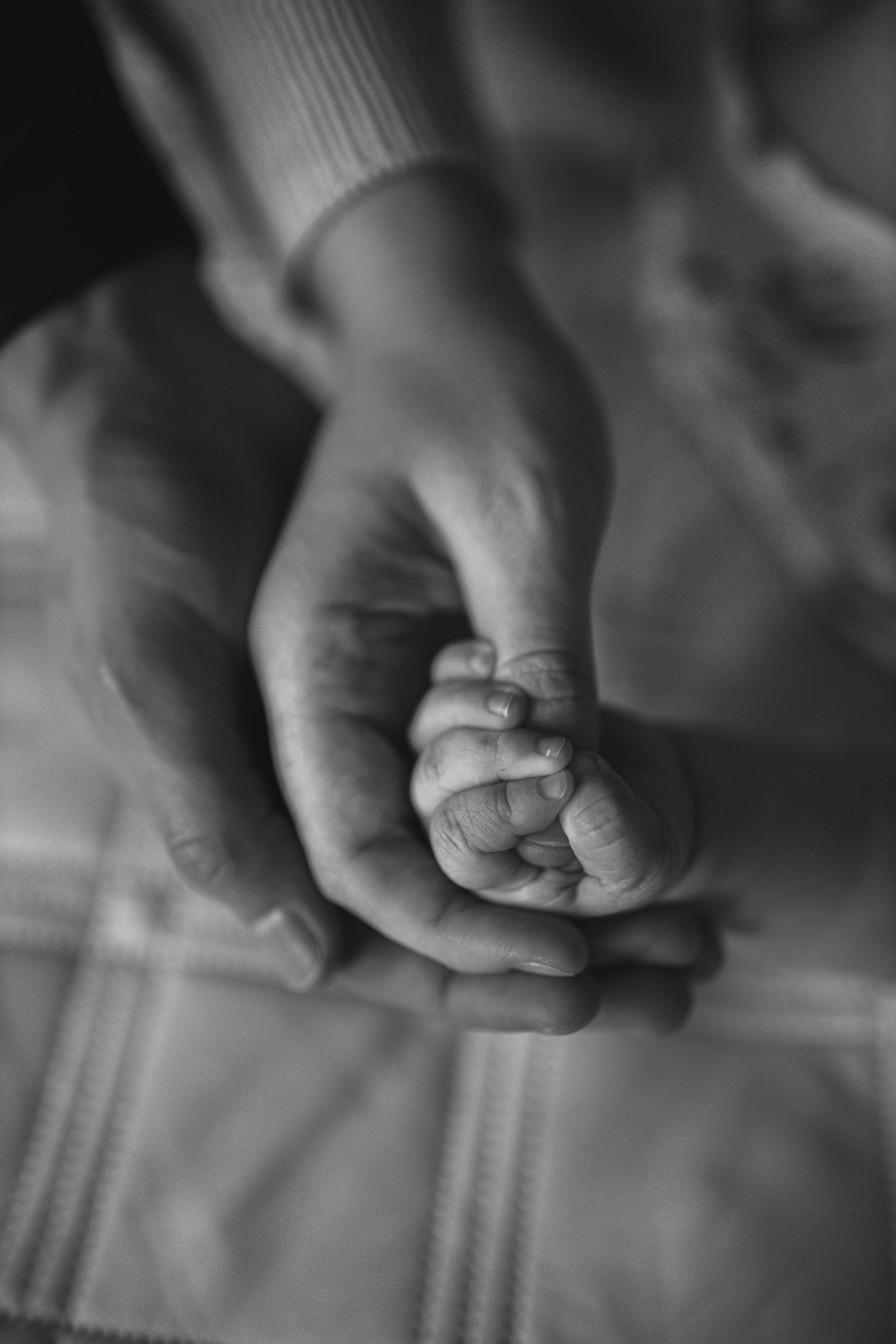 Лиза Денис Агата домашняя. Семейный и свадебный фотограф в Екатеринбурге Орлова Ирина