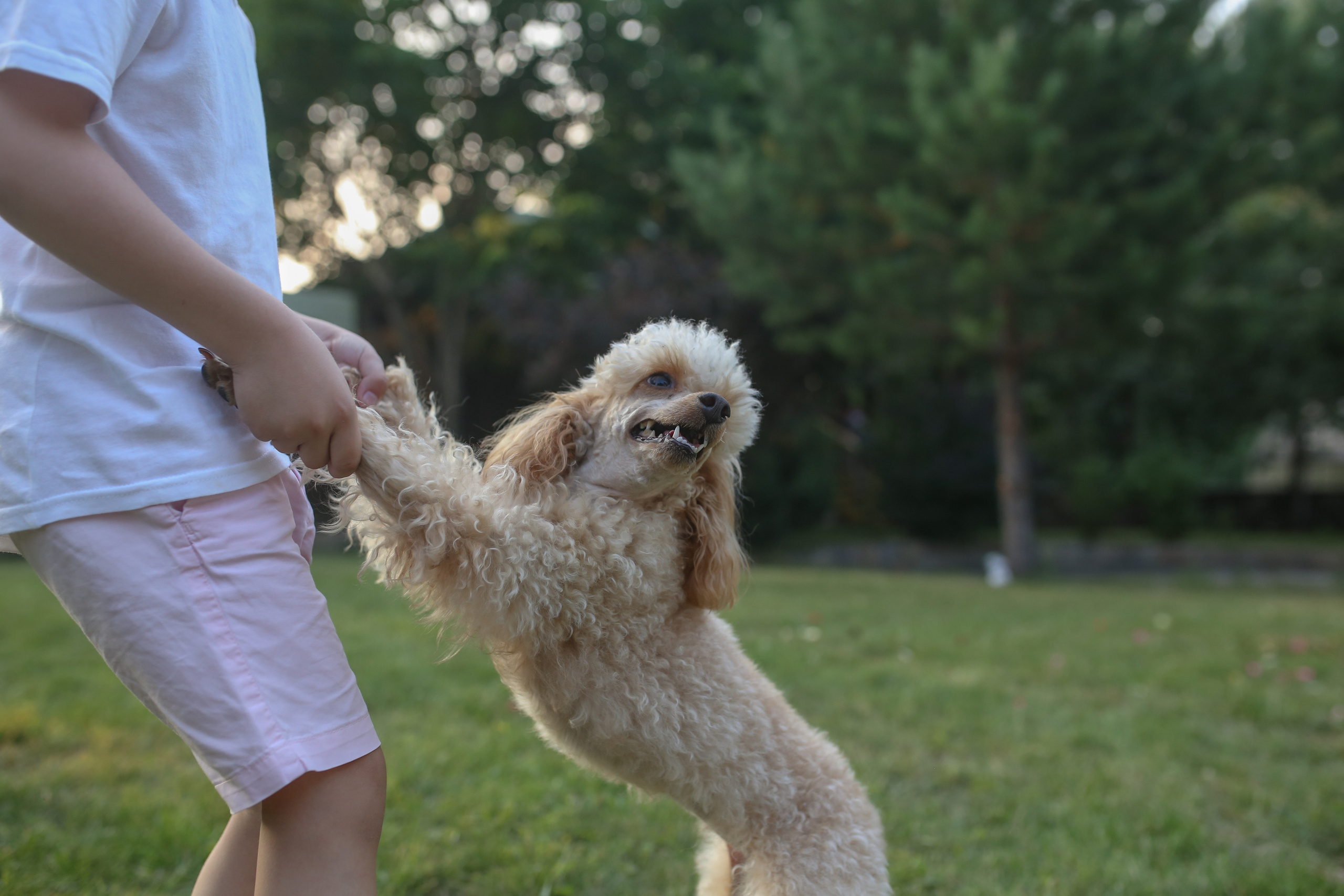 Диана и Гордей. Семейный и свадебный фотограф в Екатеринбурге Орлова Ирина