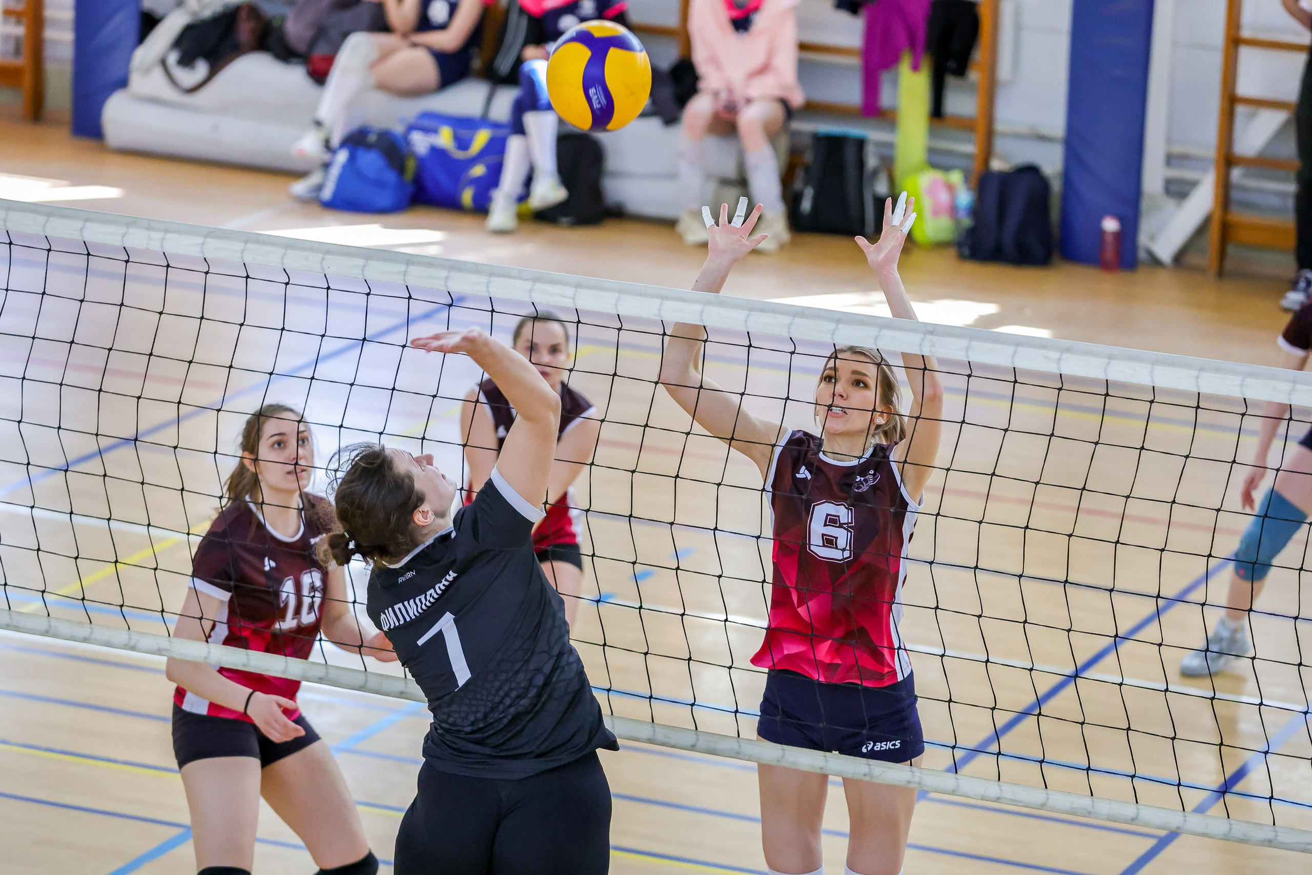 Волейбол. Спортивный и репортажный фотограф в Екатеринбурге Пустовая Аделя