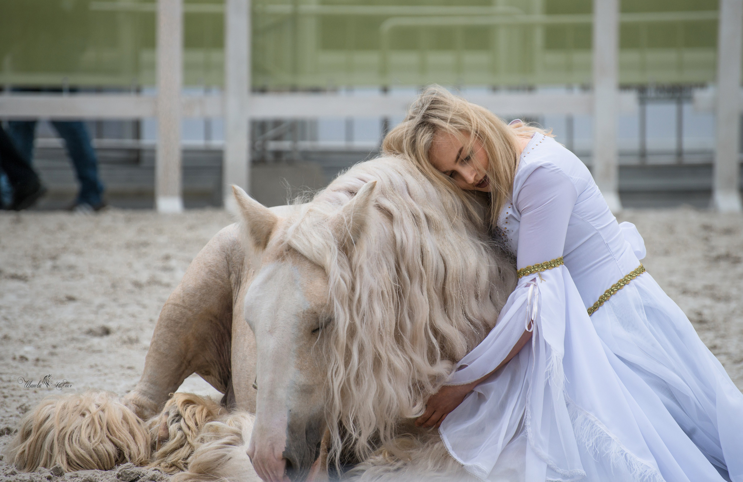 Эквирос, Москва. Конный фотограф в Саратове Юлия Иванова