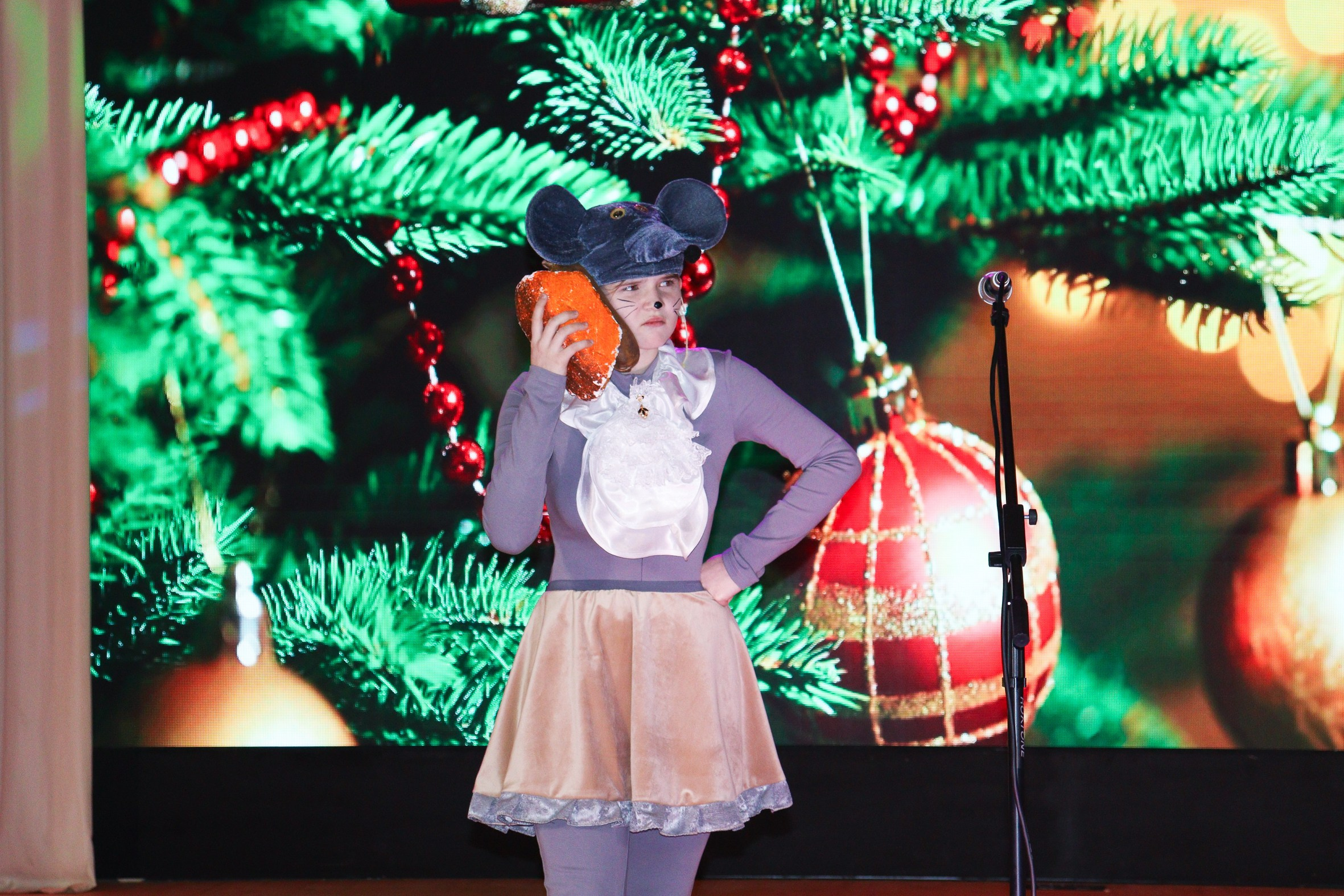 Новогодний концерт Шишли-Мышли