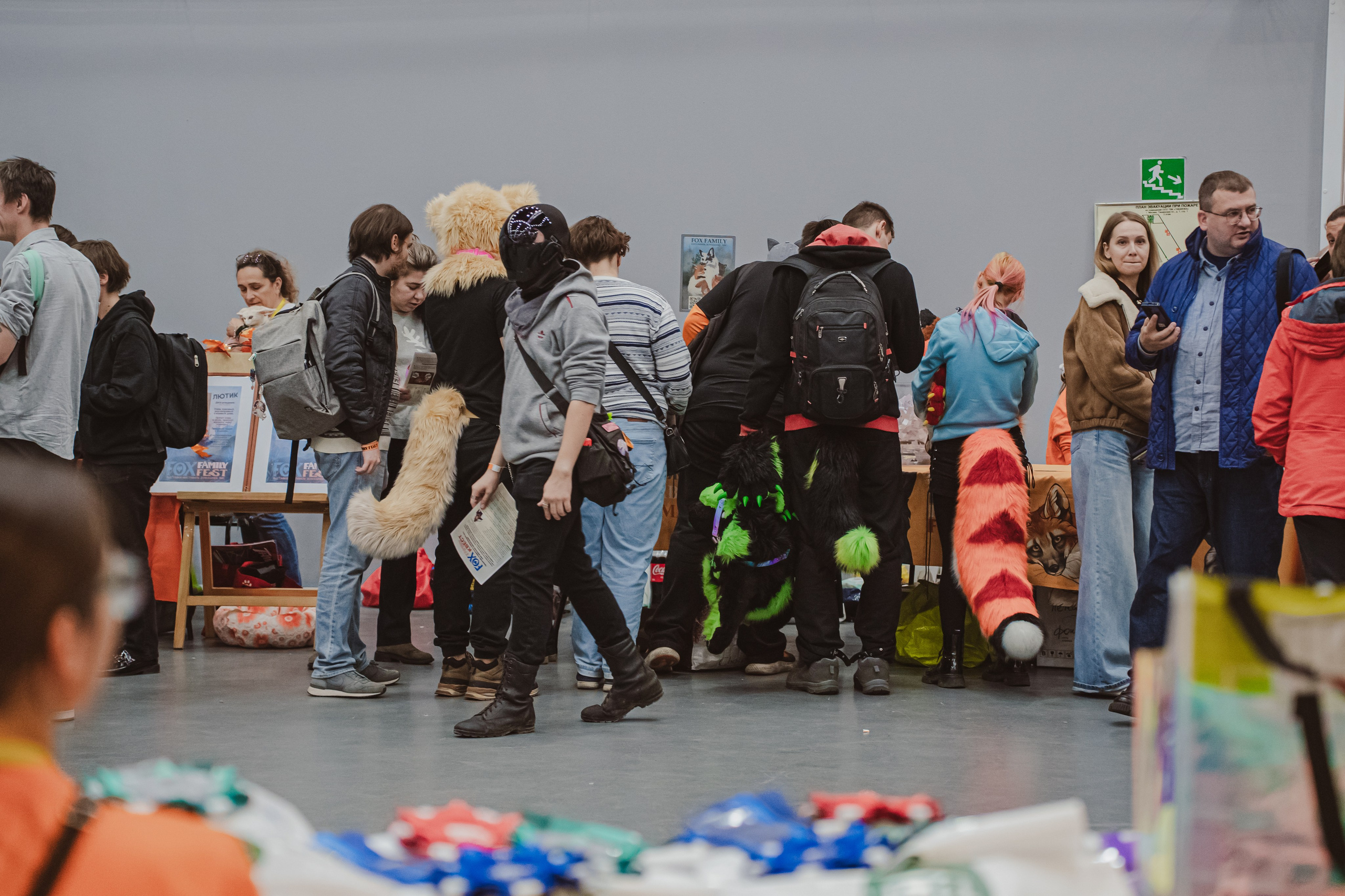 Fox Family fest. Репортажный фотограф Анастасия Рубцова
