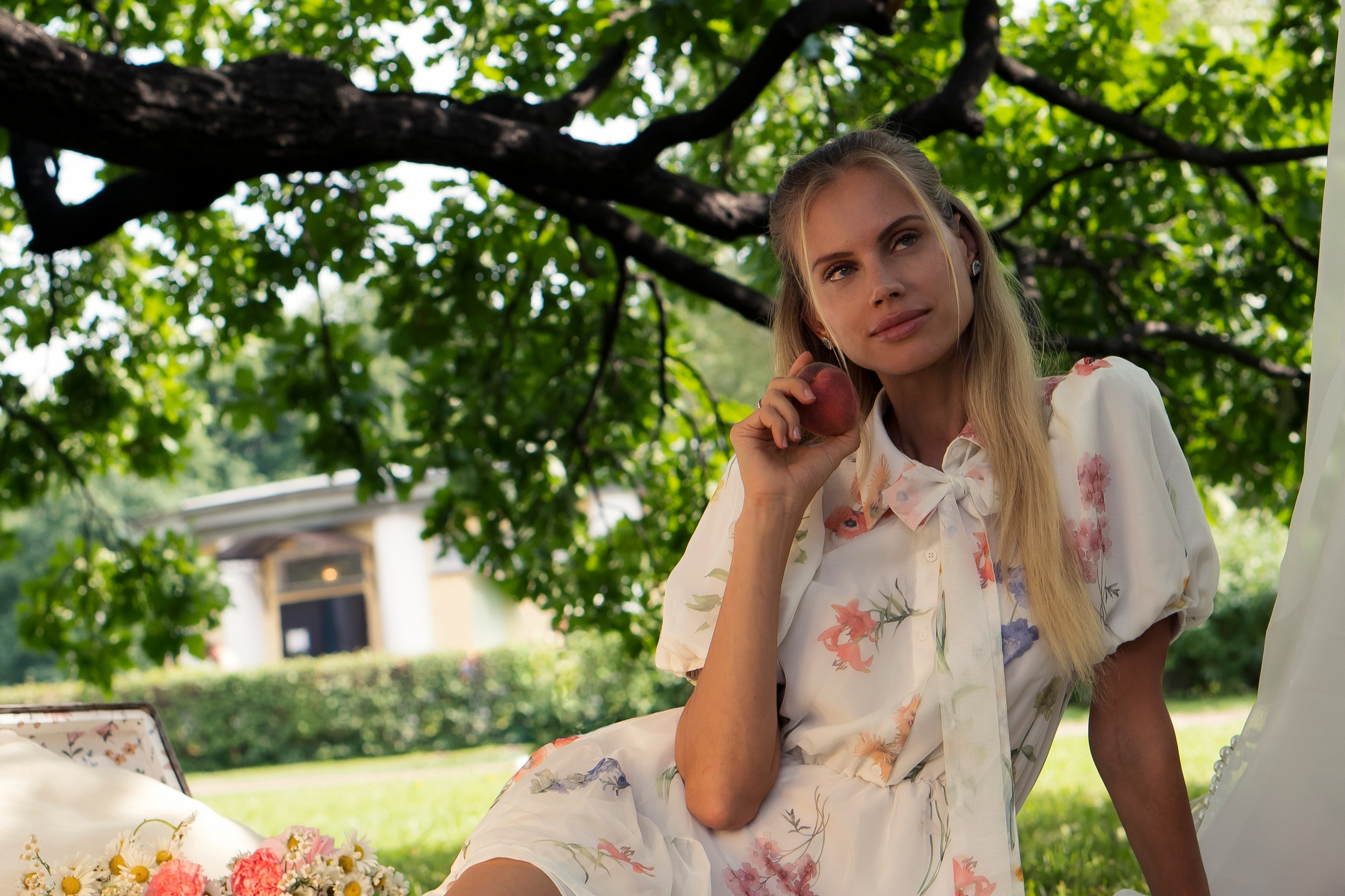 Елизавета. Портрет. Пикник. Главная