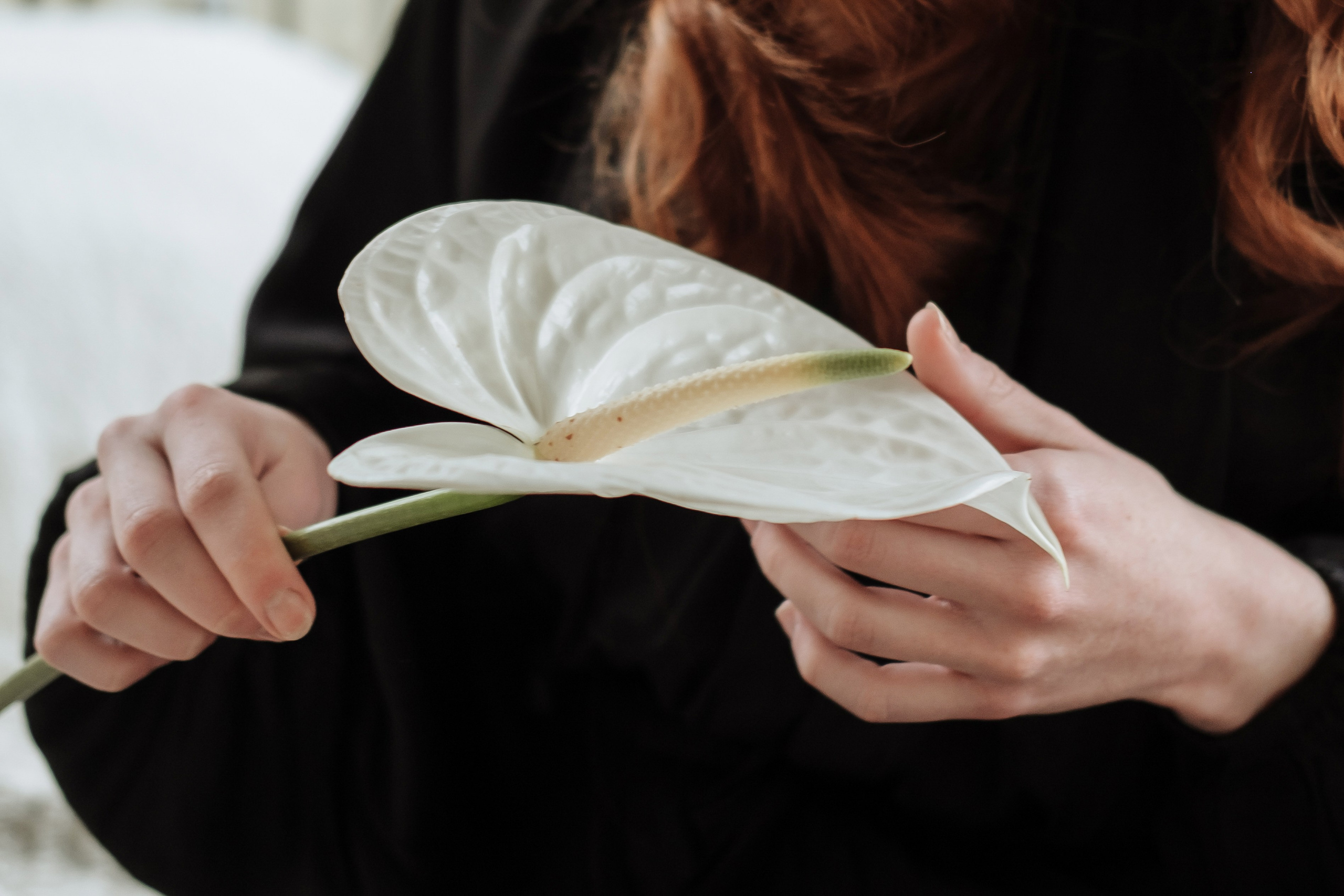 Romy. Photographer Cologne Bonn Europe Anna Ketova