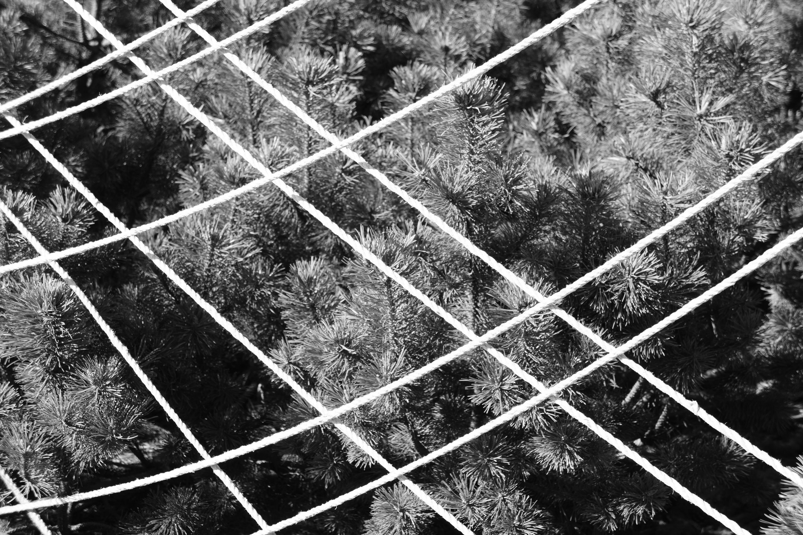 Стрит фото. Прогулка до офиса через Мегу. Фотограф Евгений Серебряков в Екатеринбурге