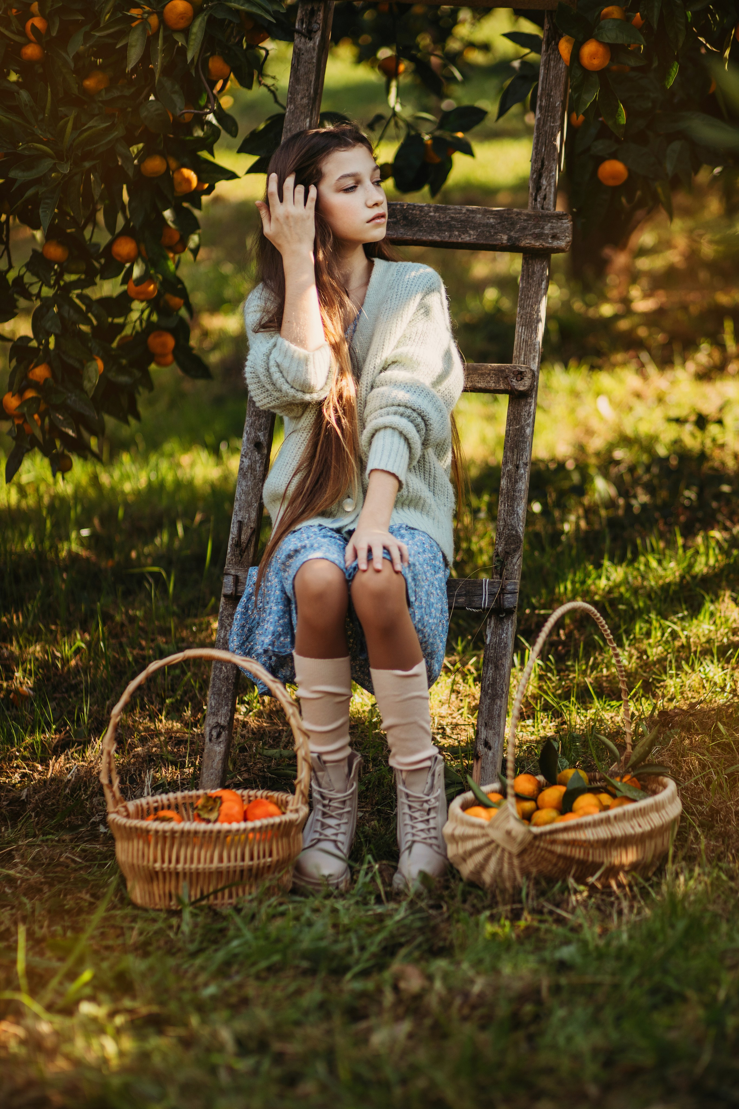 Мандариновая роща. Фотограф Сочи Татьяна Зорина