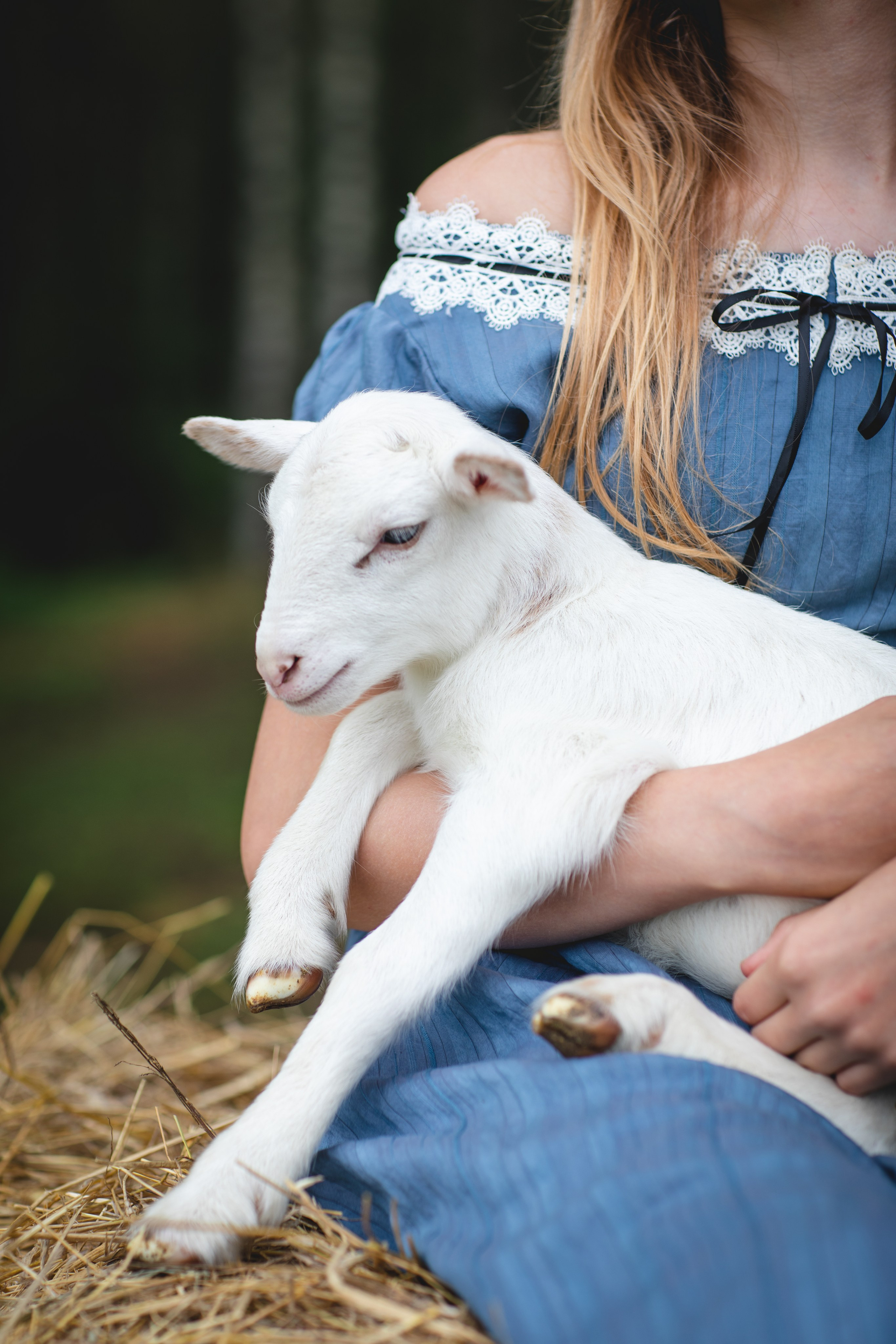 Фототуур «Край озёр» Лето. Семейный фотограф в Москве Анастасия Гурьянова