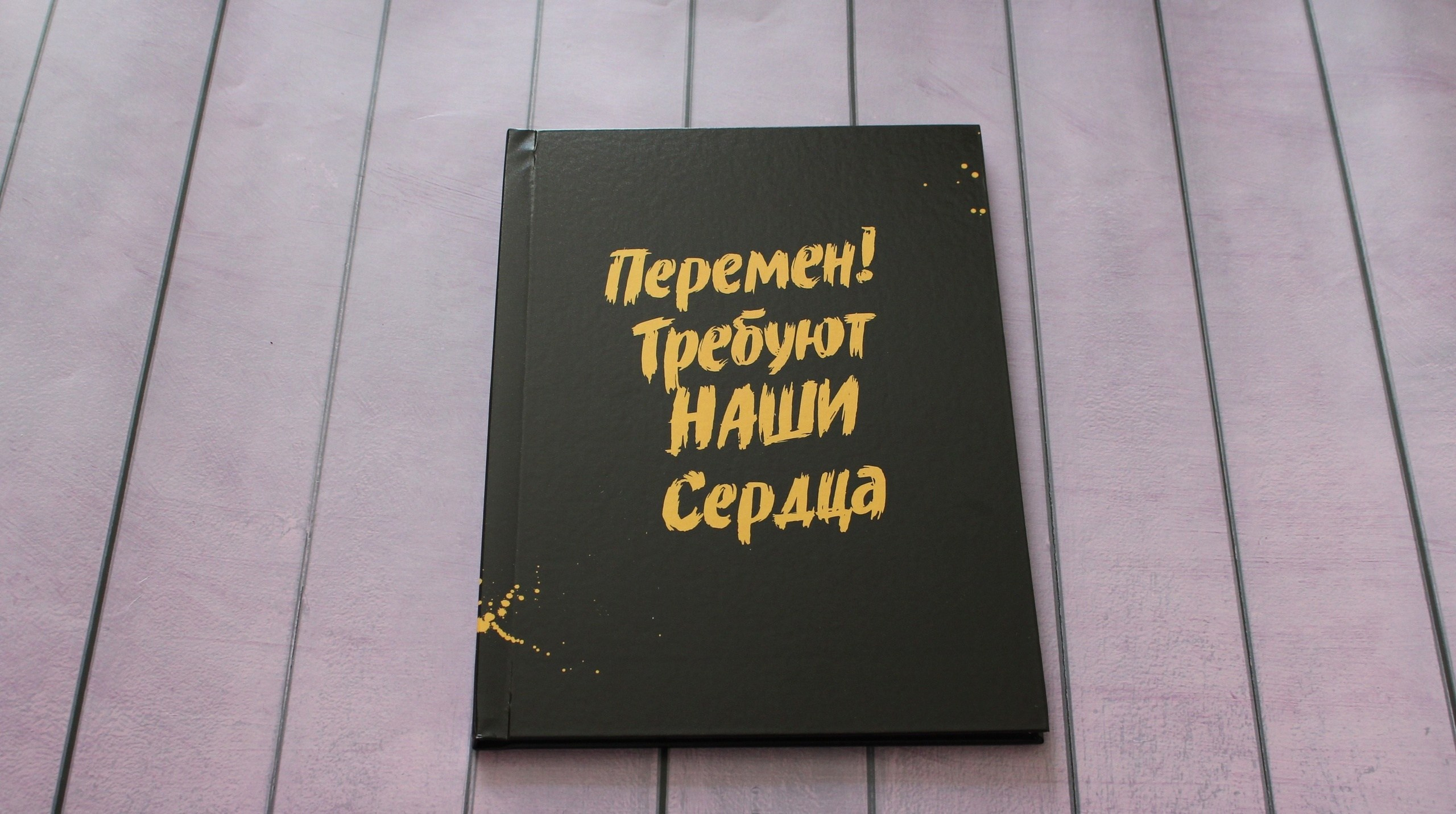 Варианты обложек. Выпускные альбомы Воронеж от Веры Соколовой