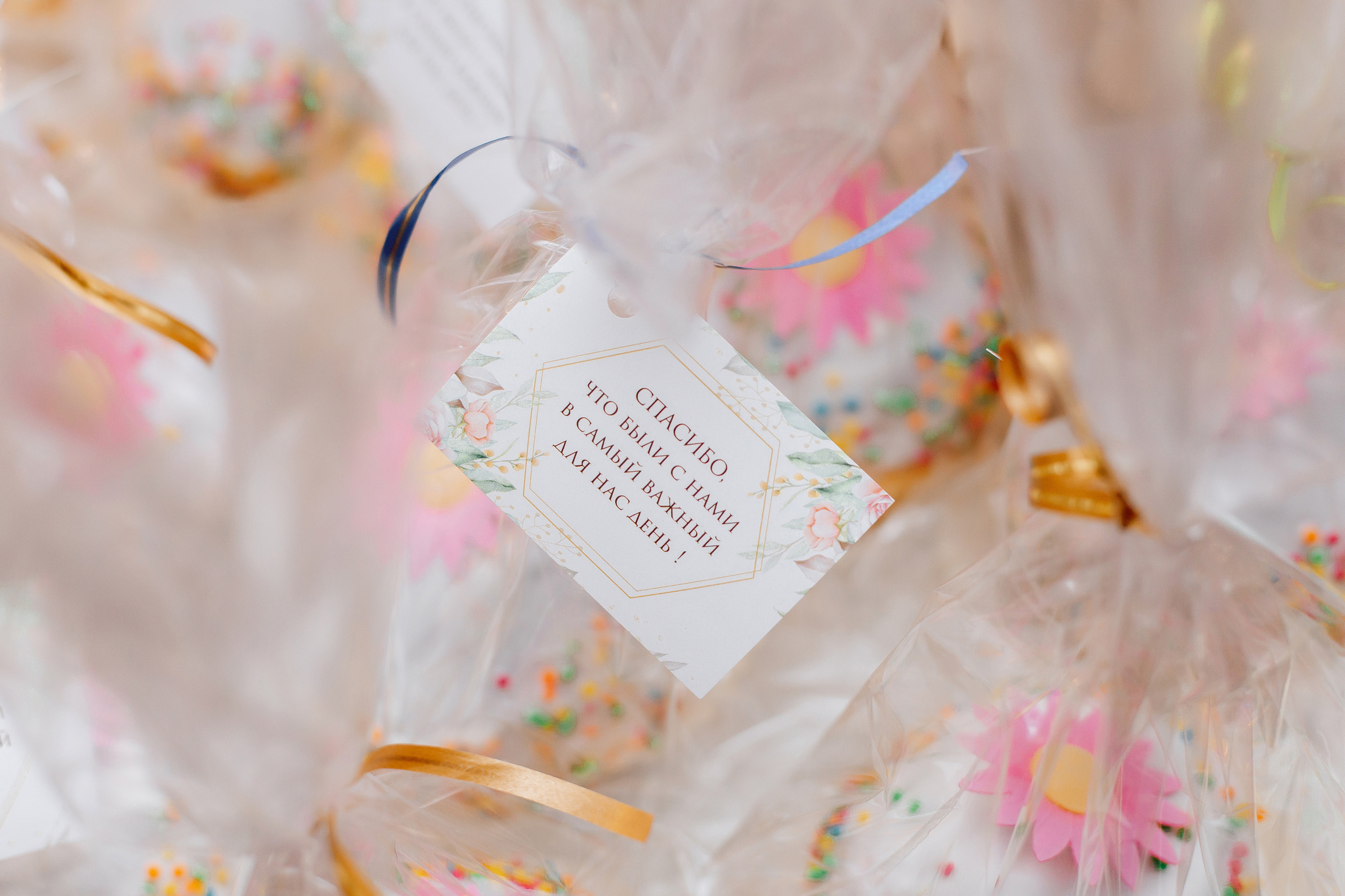 Анна и Владимир. Фотограф новорожденных, семейный фотограф Брест Кристина Маслова