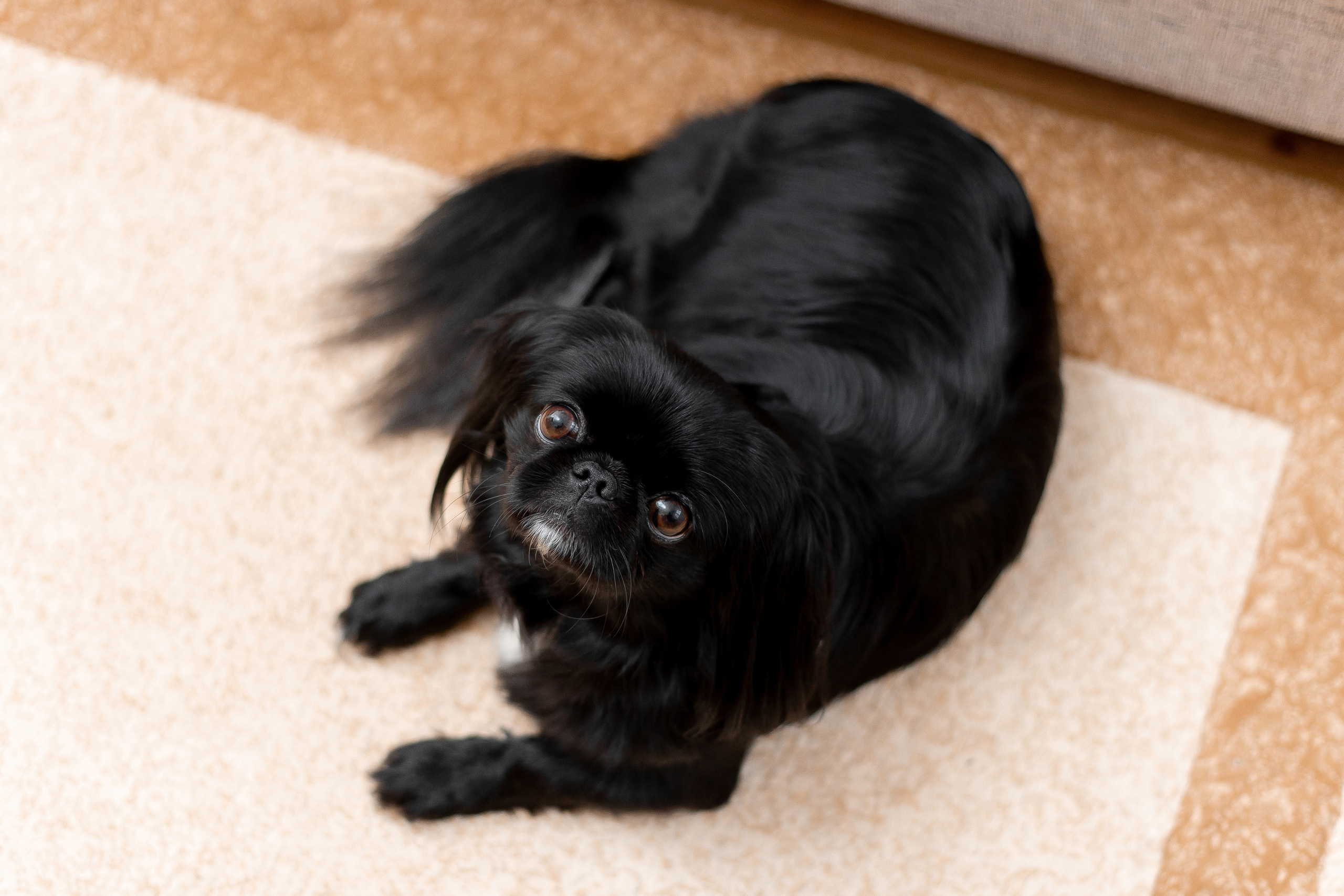 Анна и Владимир. Фотограф новорожденных, семейный фотограф Брест Кристина Маслова