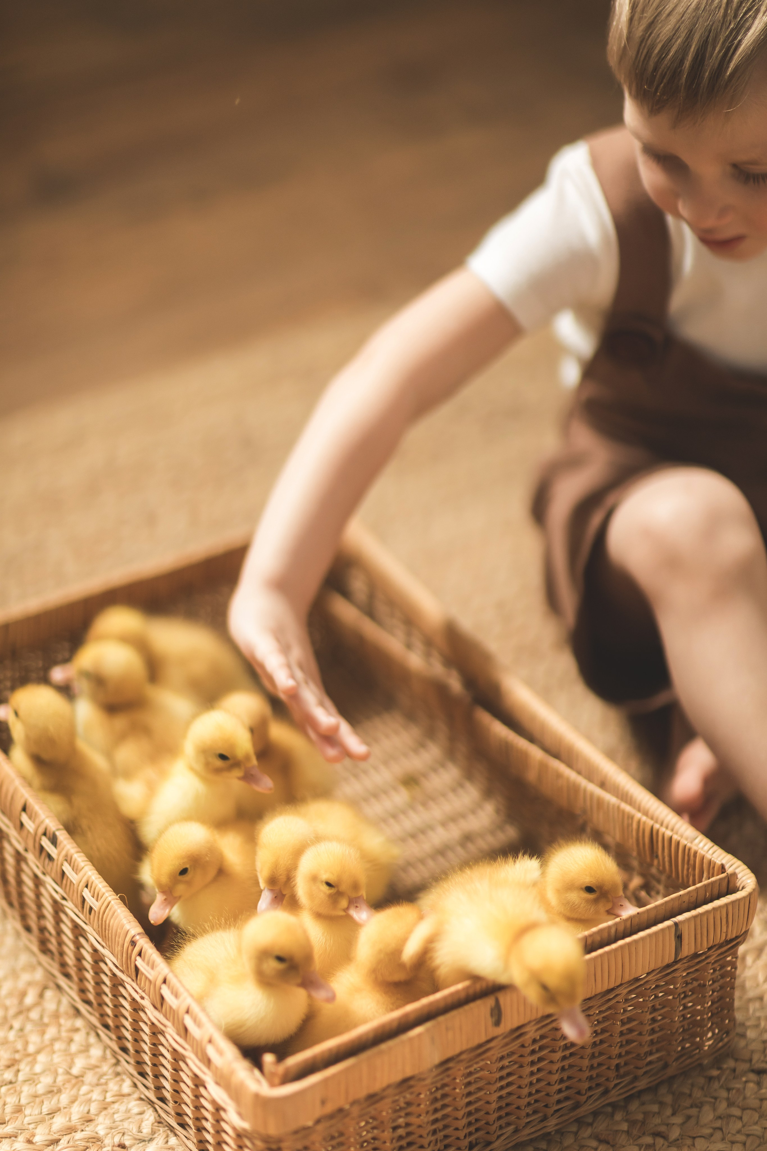 Пасха с животными (3,4 апреля). Семейный и детский фотограф Краснодар Валерия Власенко