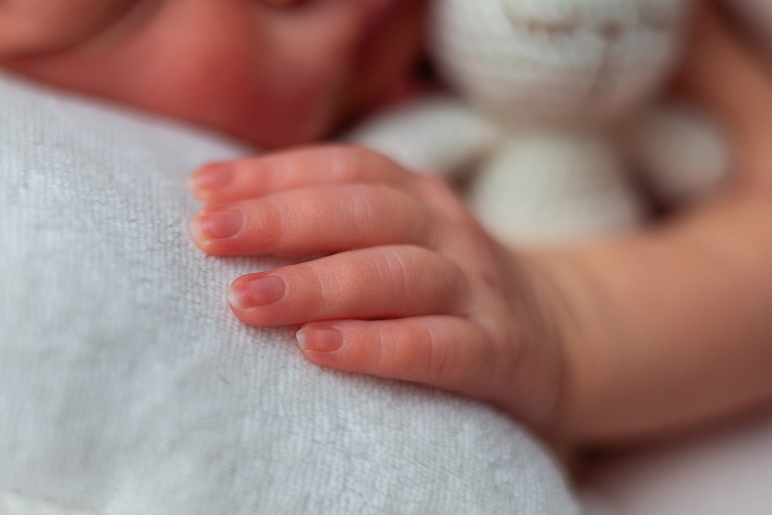 Новорождённые малыши. Семейный и детский фотограф в Михайловке Татьяна Лестьева