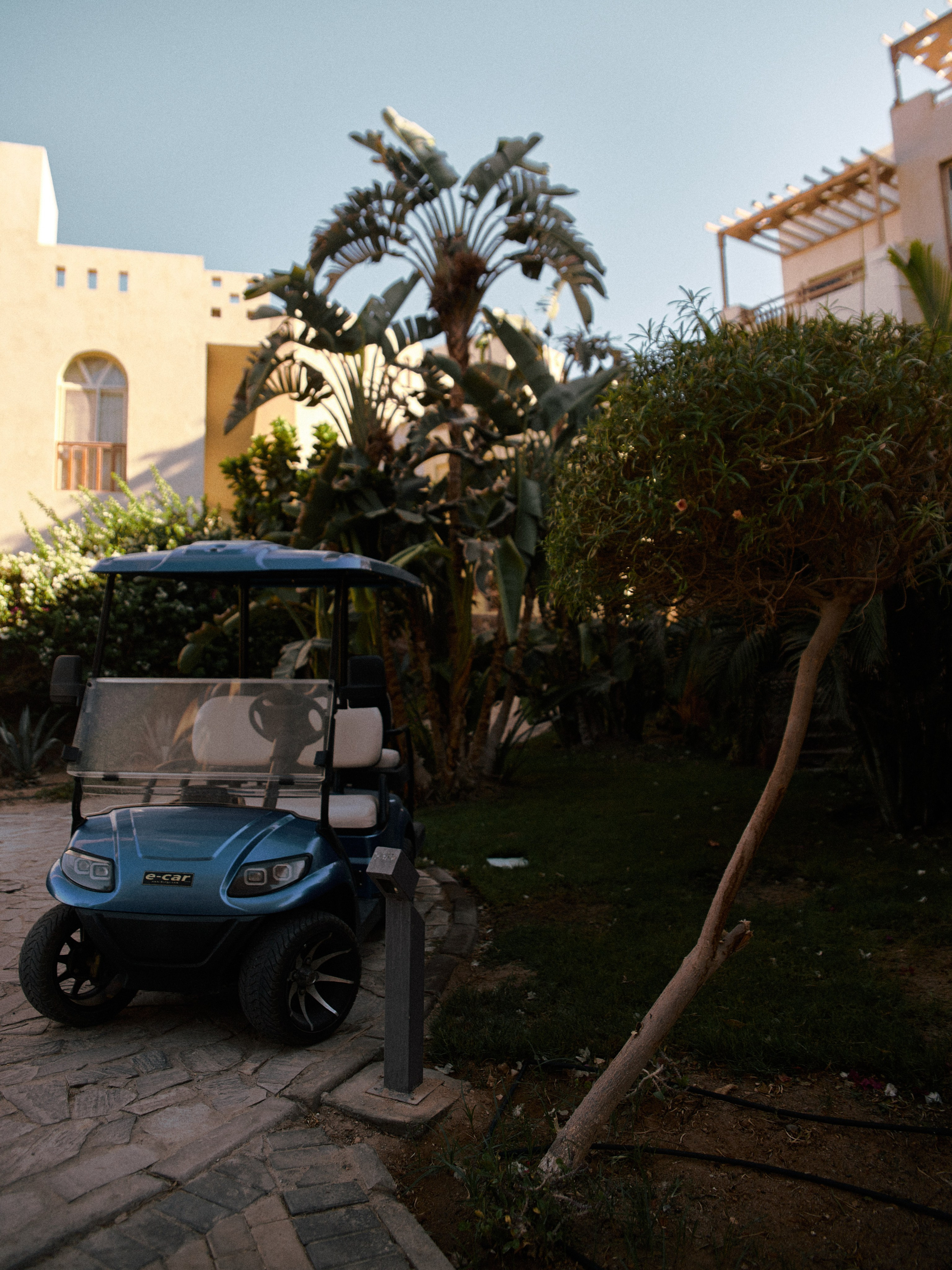 Улицы. Jorgis Talè — photographer, kind person, teacher of arts and other mag