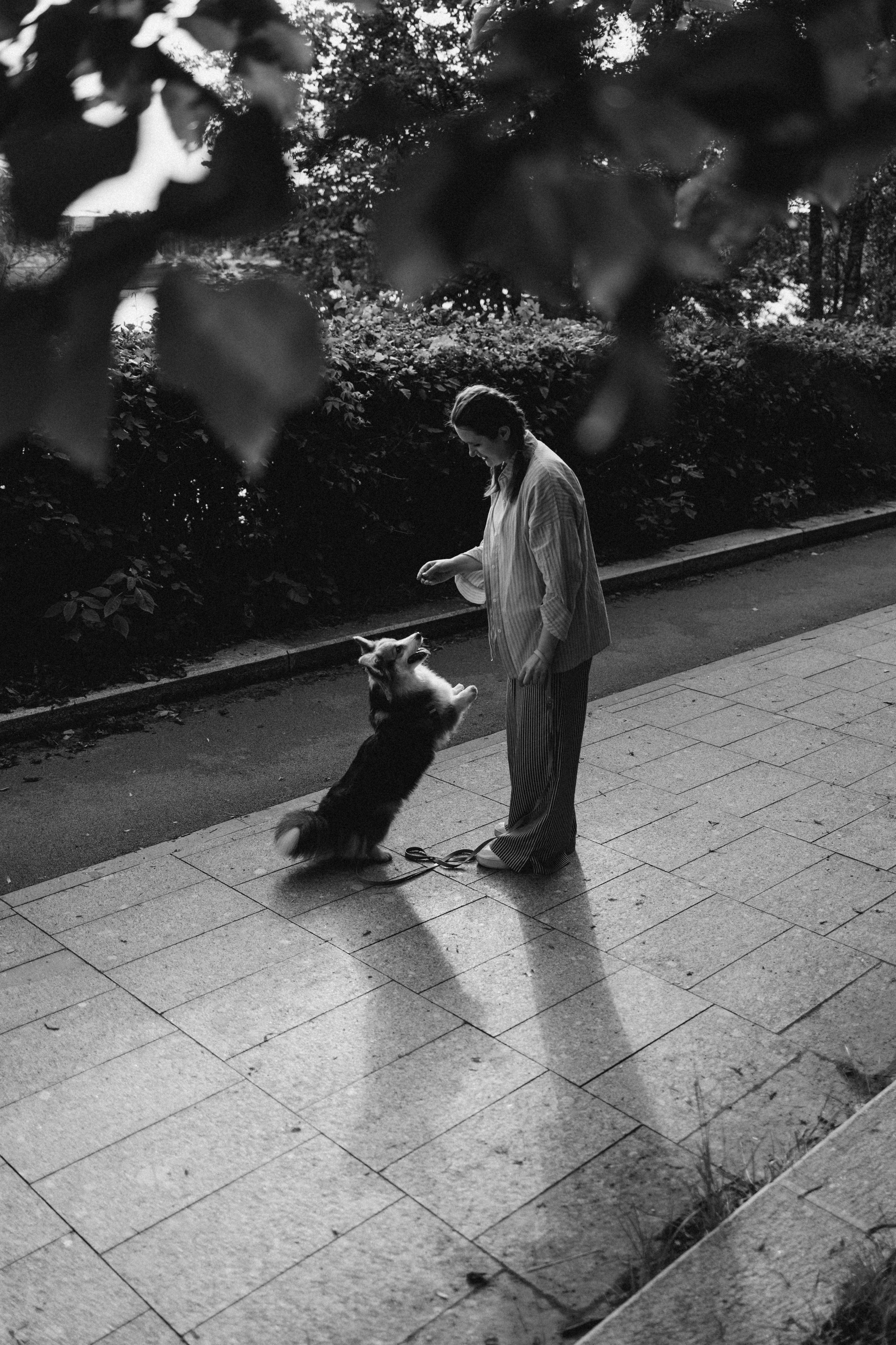 Мишель и Влада. Фотораф — анималист Мария Шистка