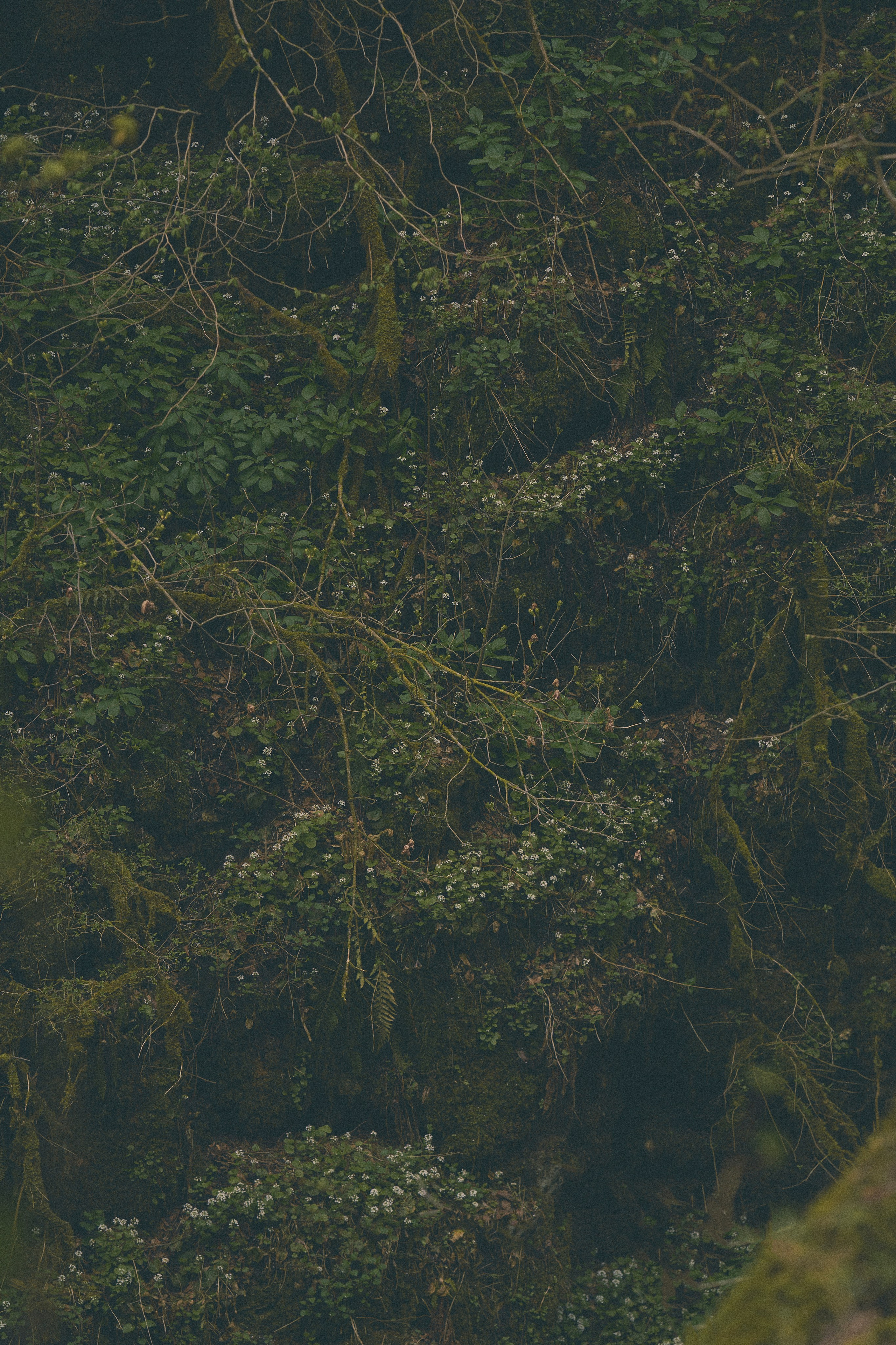 Krasnodar. Гасанова Алина|Фотограф в Санкт-Петербурге