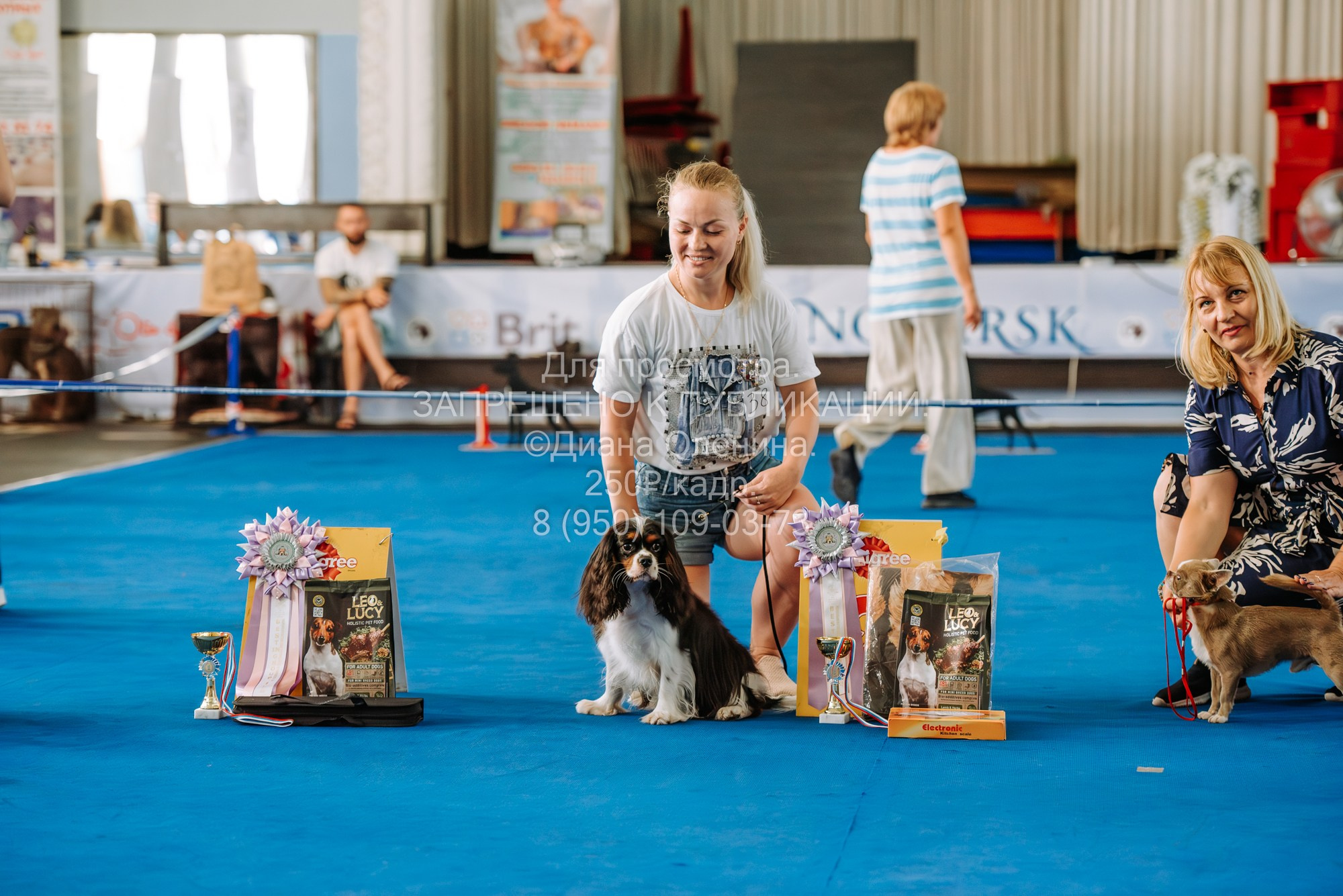 Национальная выставка собак всех пород ранга САС-IKU «Кубок Красноярск. Фотограф Диана Оленина Красноярск / Братск
