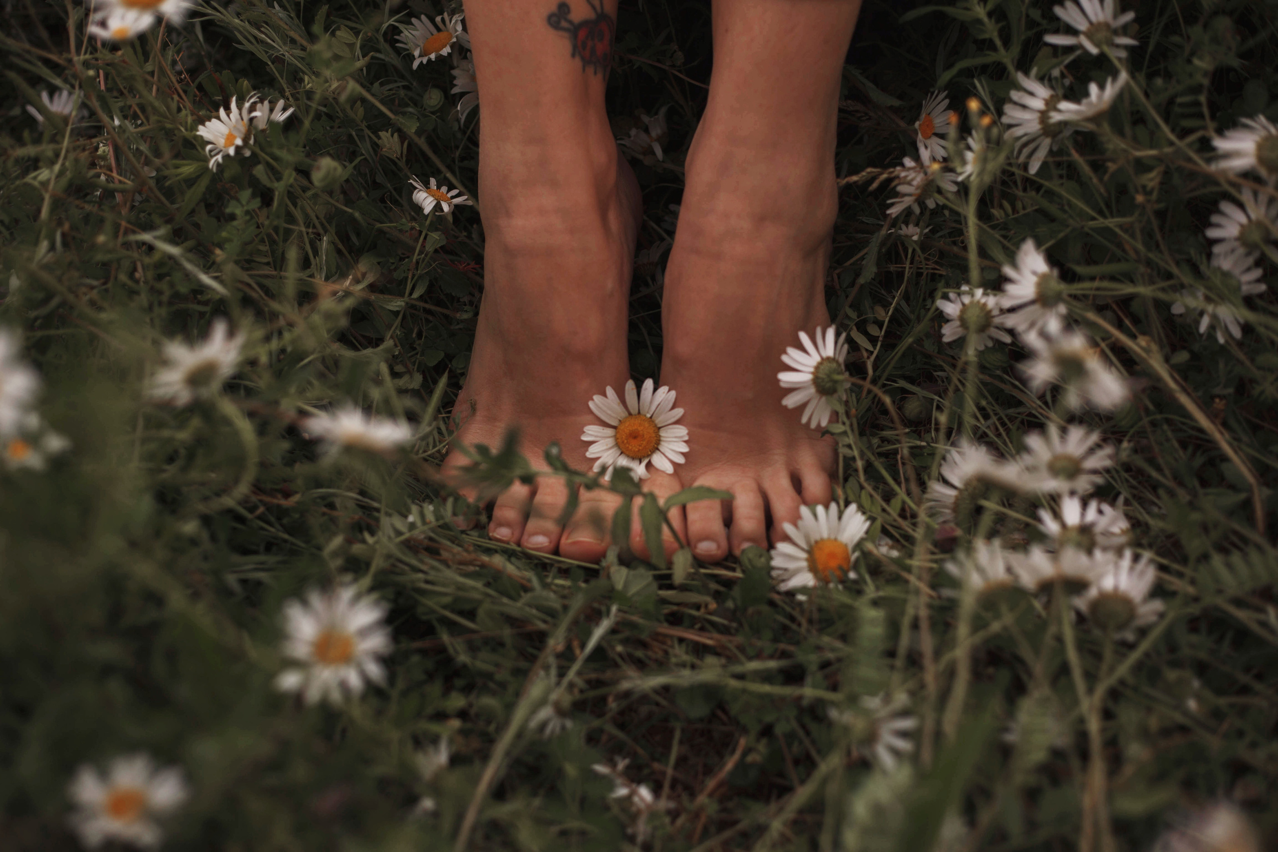 Фотосессия «В ожидании чуда». Детский, семейный, фотограф в Крыму и Севастополе Дарья Ваниосова