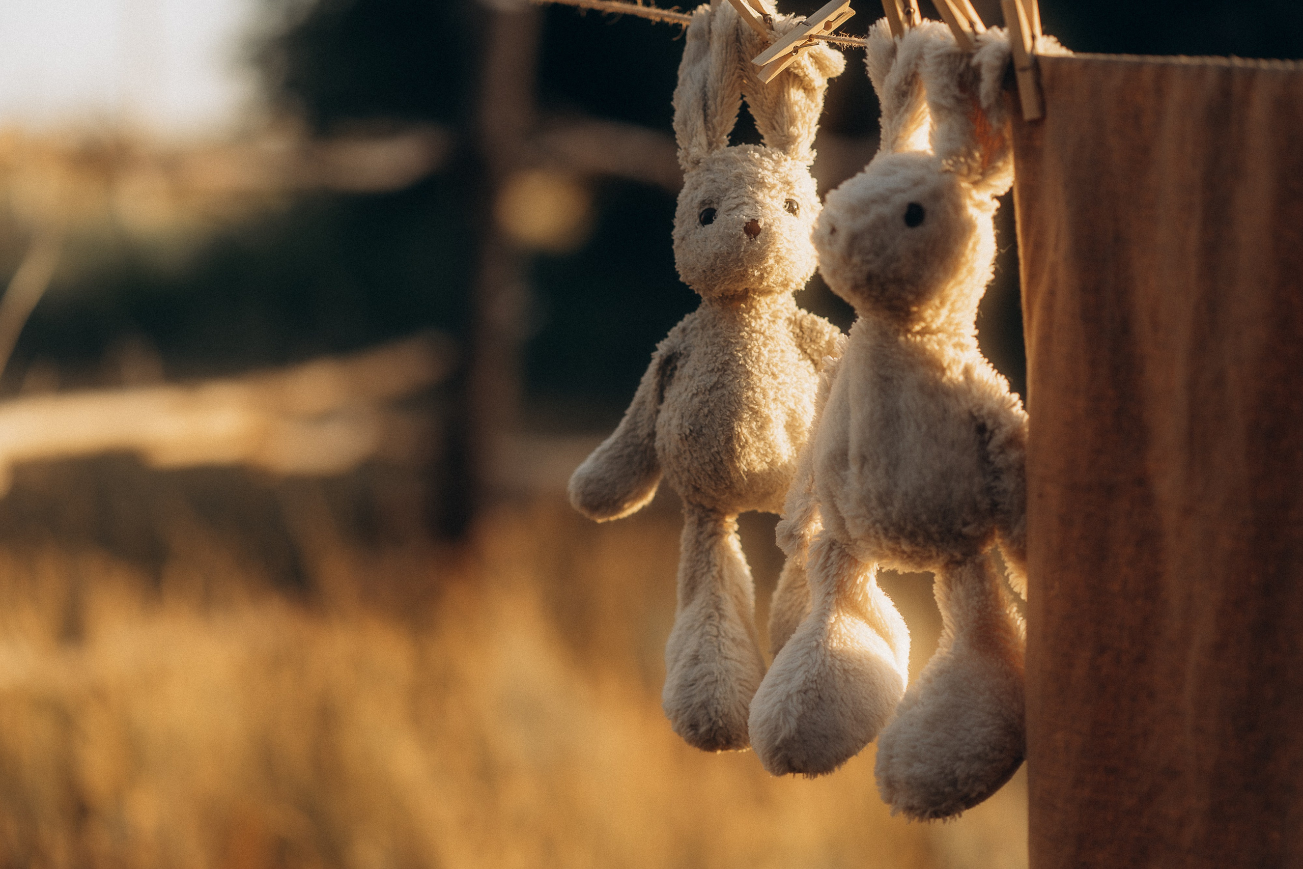 Август. Семейный фотограф в Калининграде Елена Глазунова