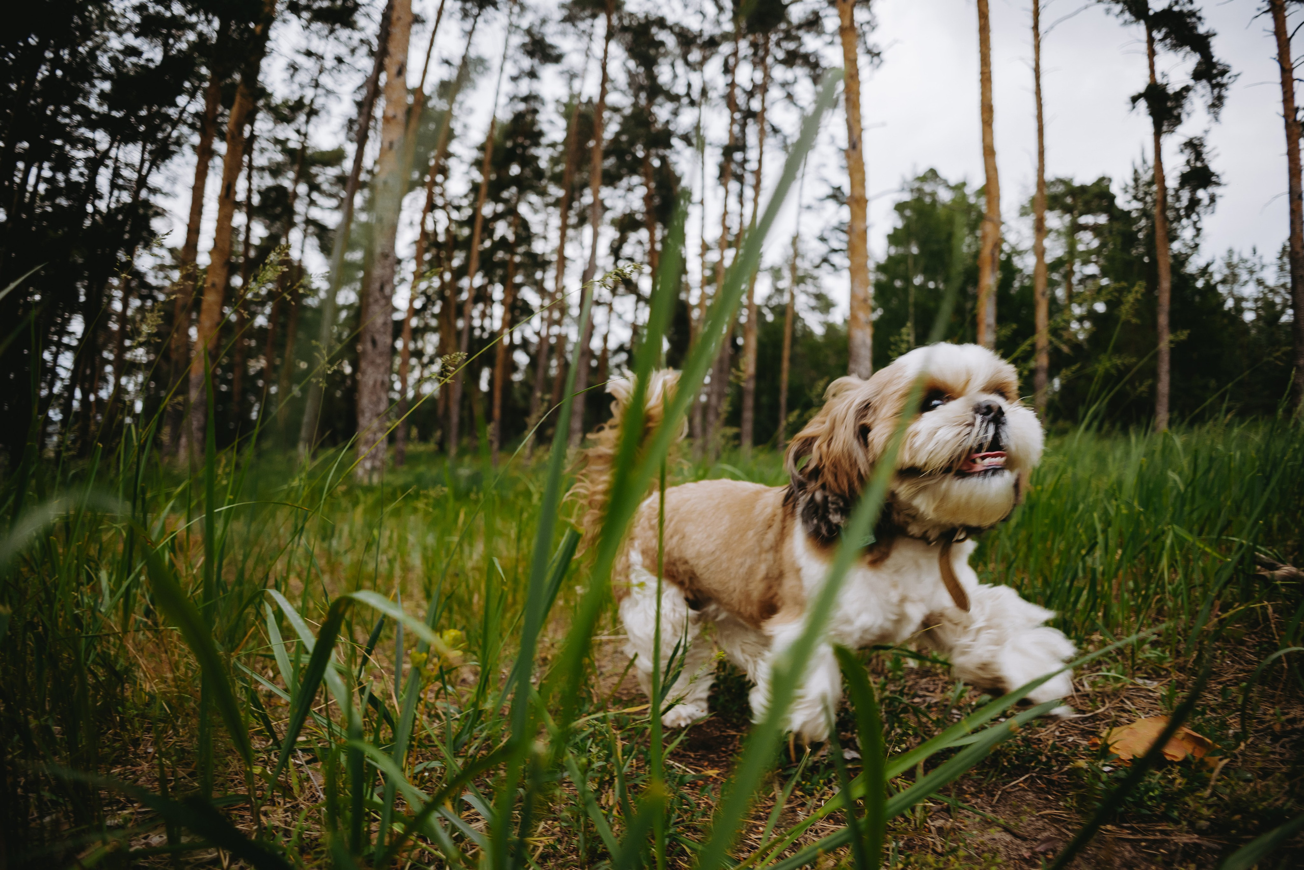 Александр и Алия. Фотограф в Саратове Александр Кухаренко. И не только в Саратове :)