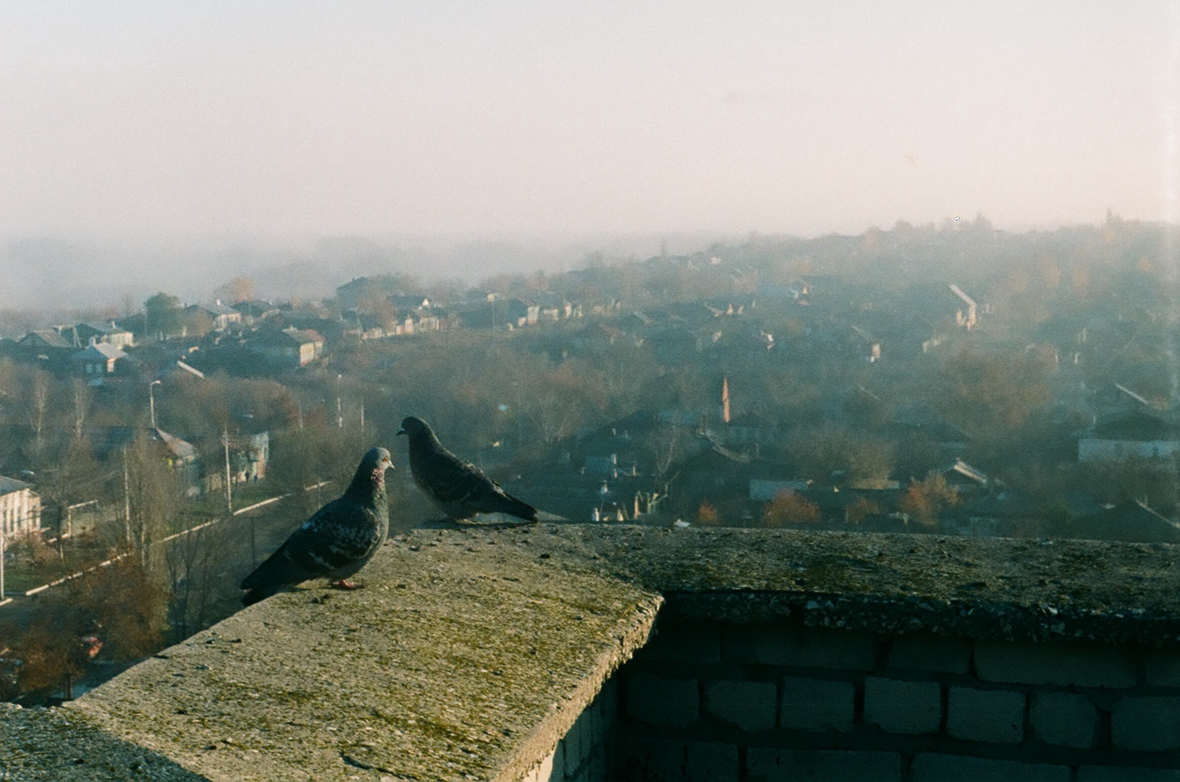 Пленка. Фотограф в Москве Наталья Новикова