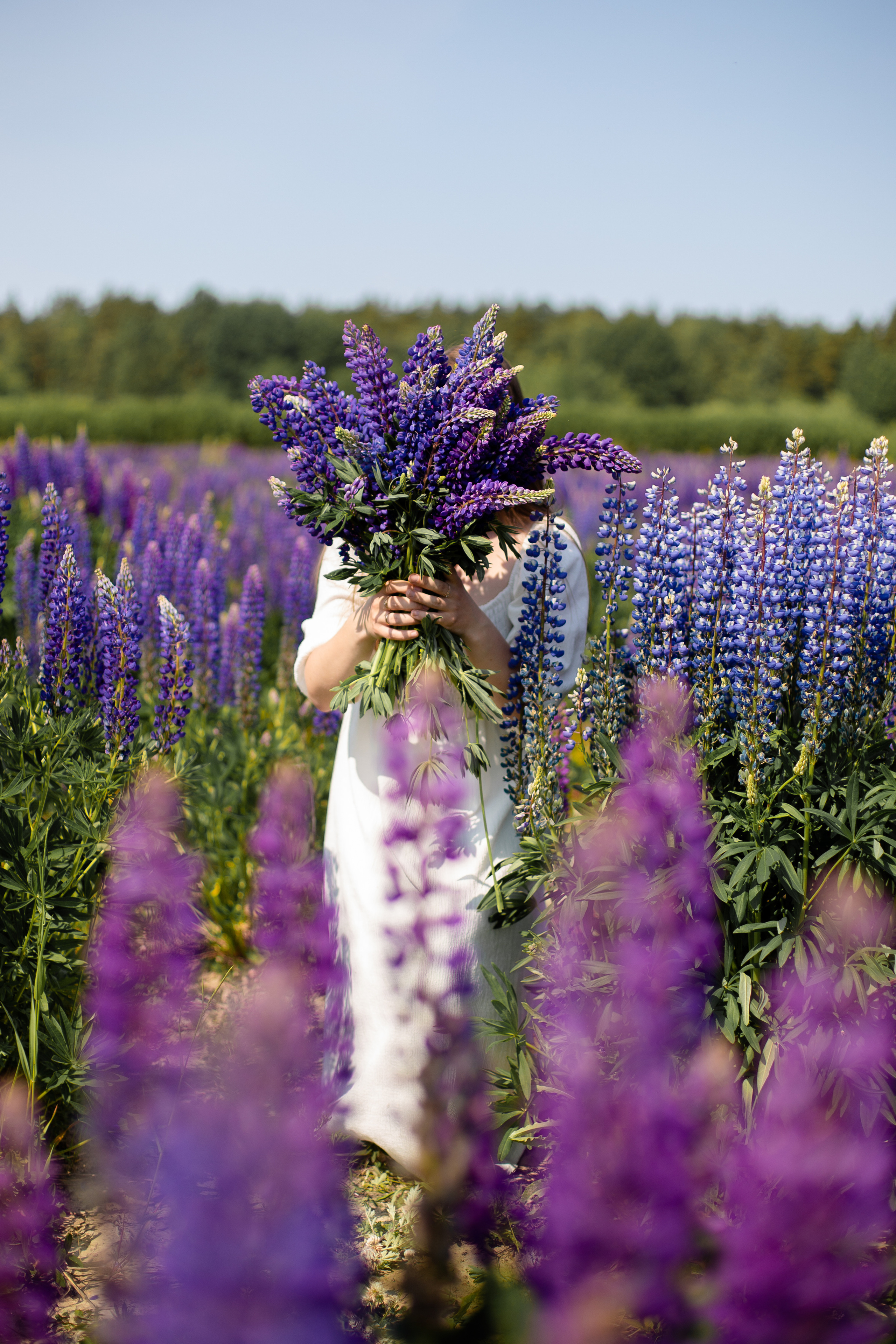 Фотопрогулки. Фотограф СПб, Новогорелово, Новоселье, Торики
