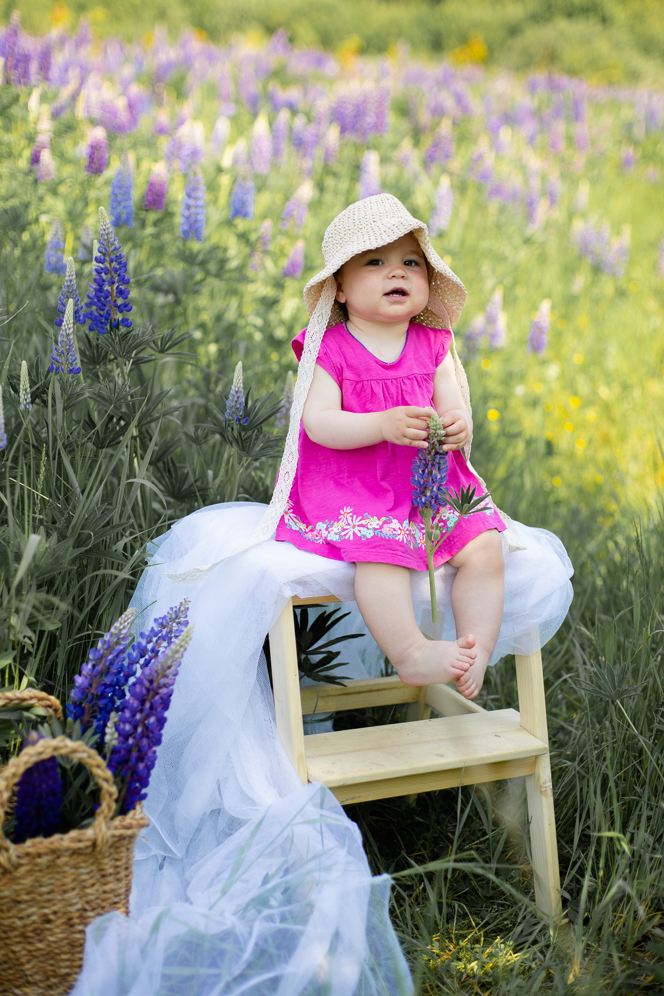 Фотопрогулки. Фотограф СПб, Новогорелово, Новоселье, Торики