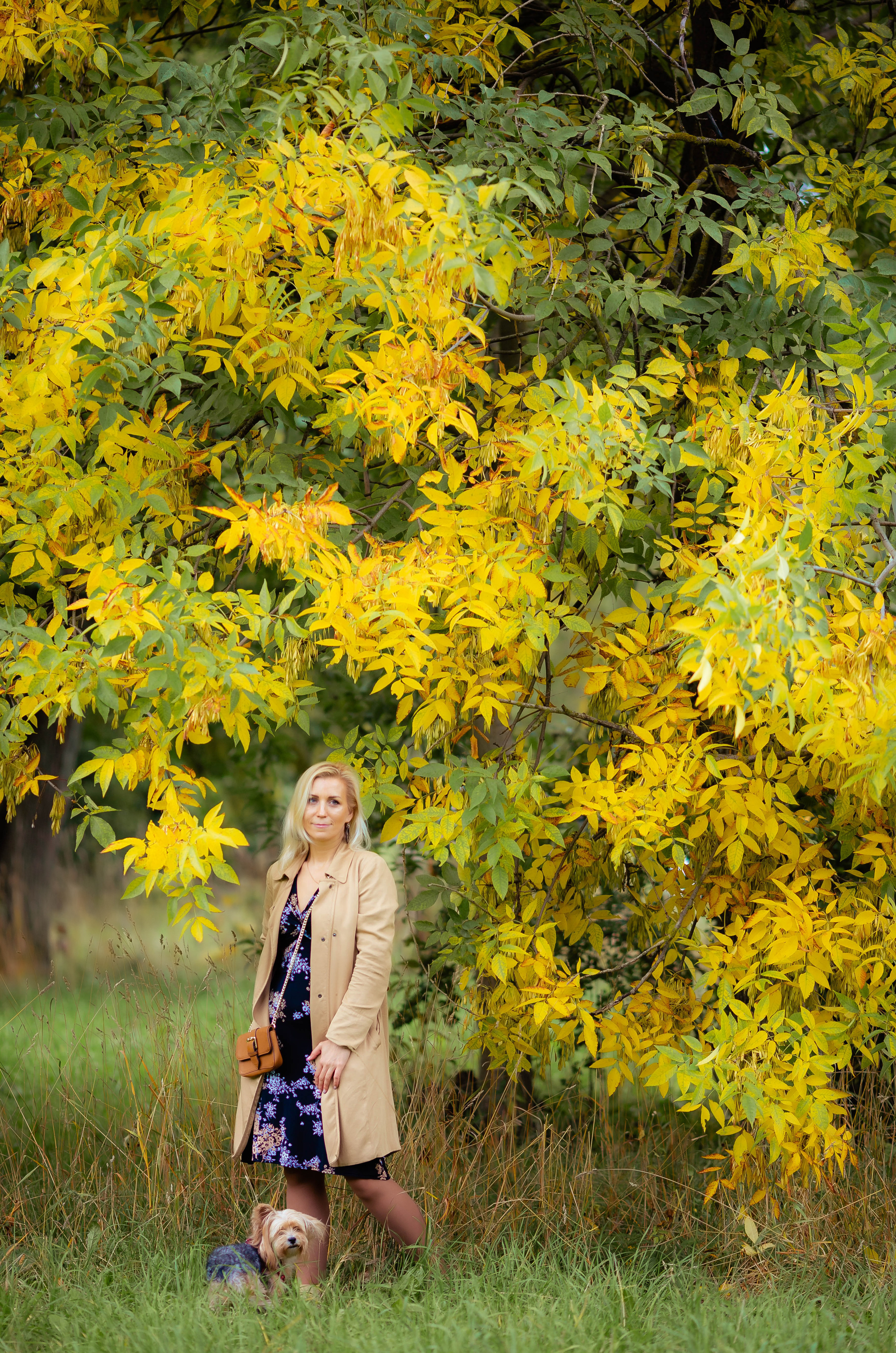 Фотопрогулки. Фотограф СПб, Новогорелово, Новоселье, Торики
