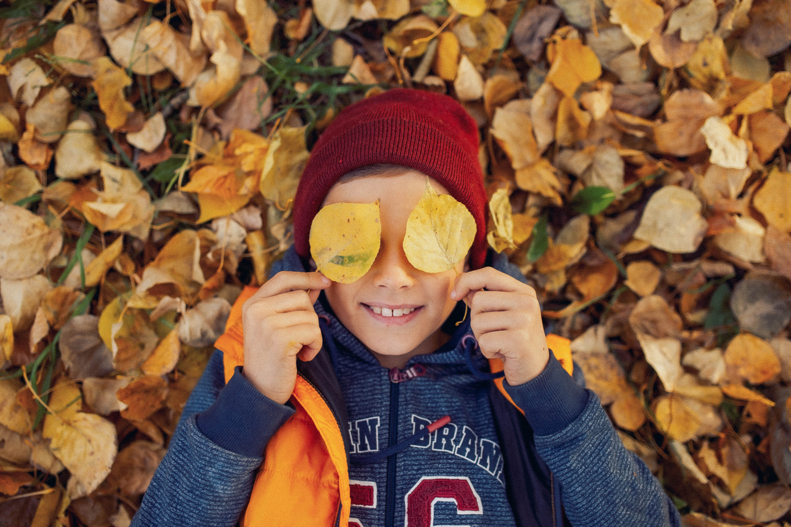 Фотопрогулки. Фотограф СПб, Новогорелово, Новоселье, Торики
