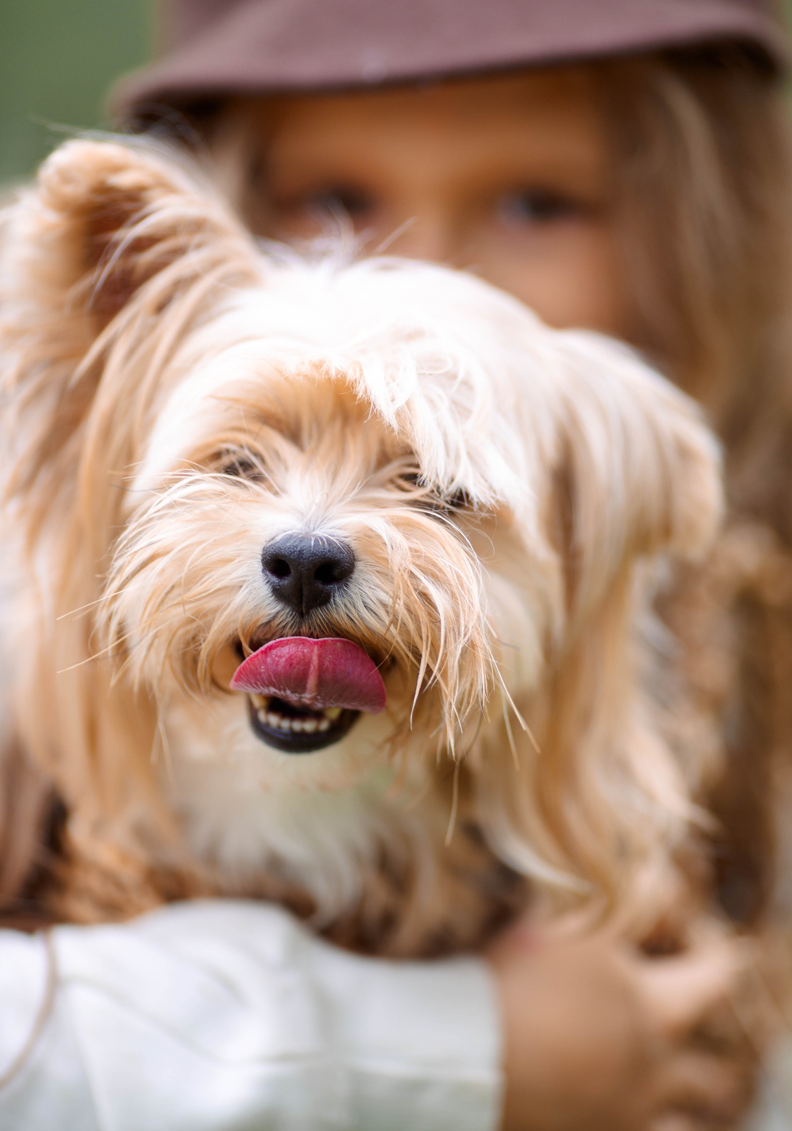 Фотопрогулки. Фотограф СПб, Новогорелово, Новоселье, Торики