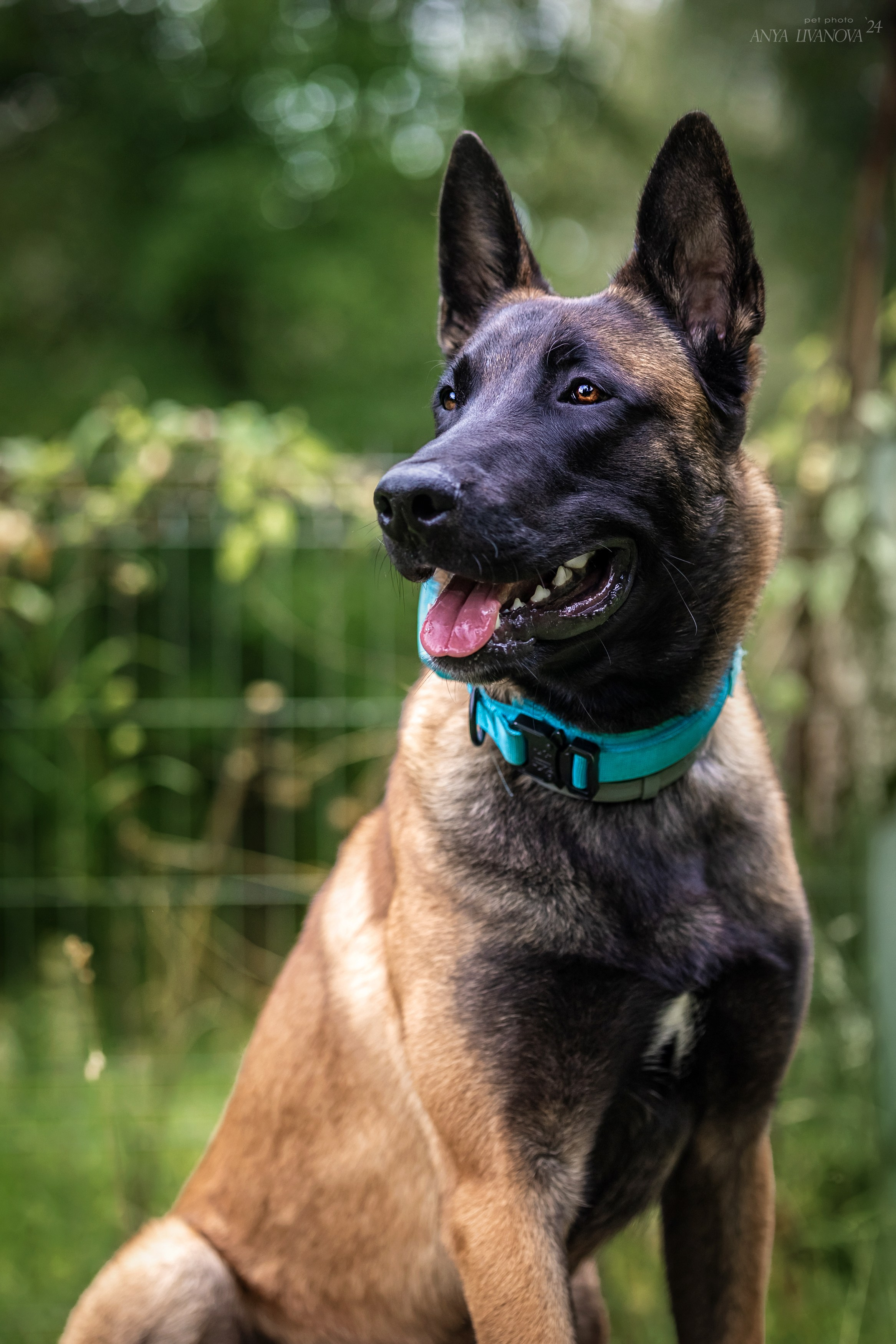 Ралли «Акела». Фотограф анималист Аня Ливанова | Рыбинск