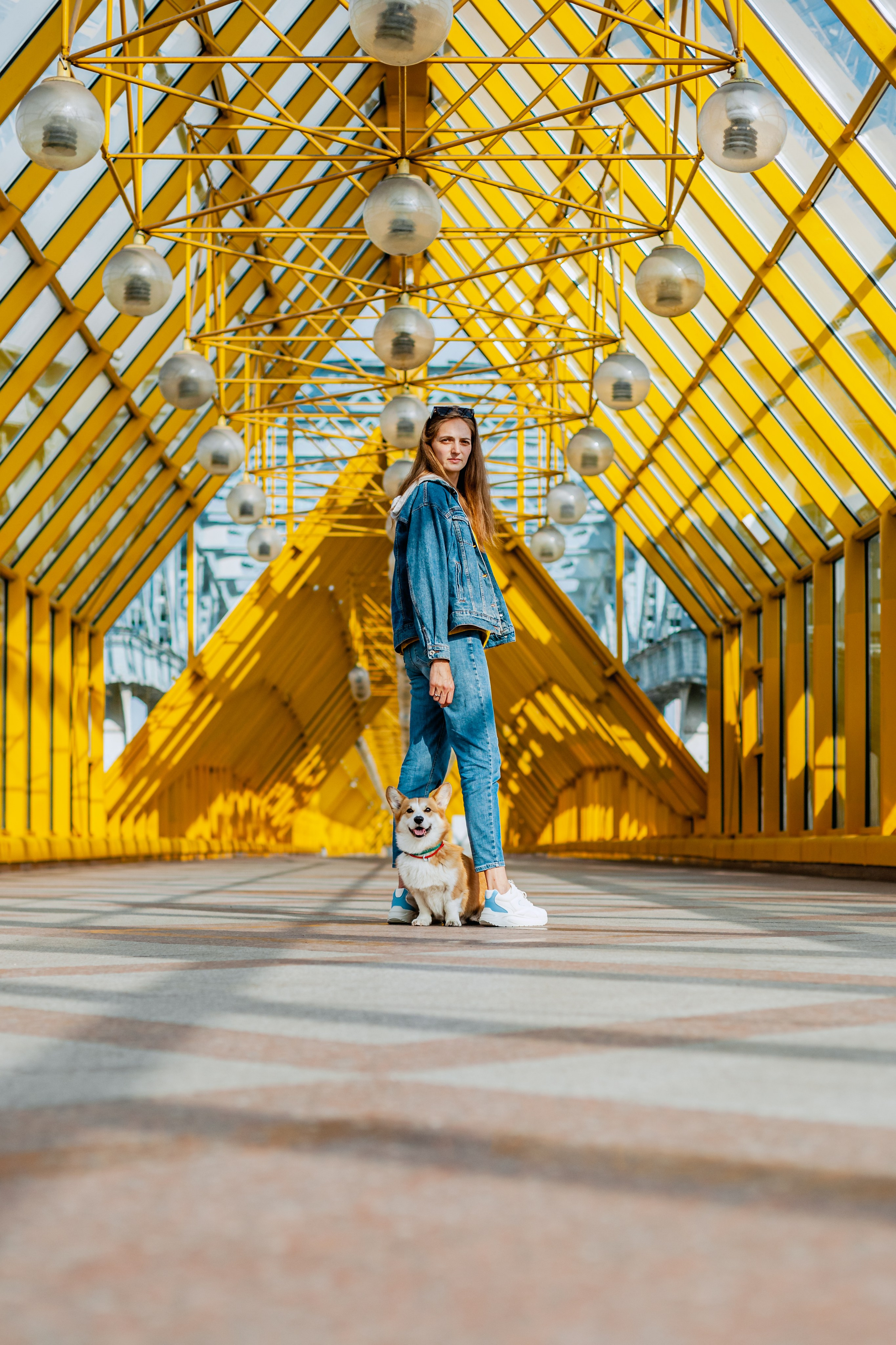 Андреевский мост. Фотограф-анималист Татьяна Степанова