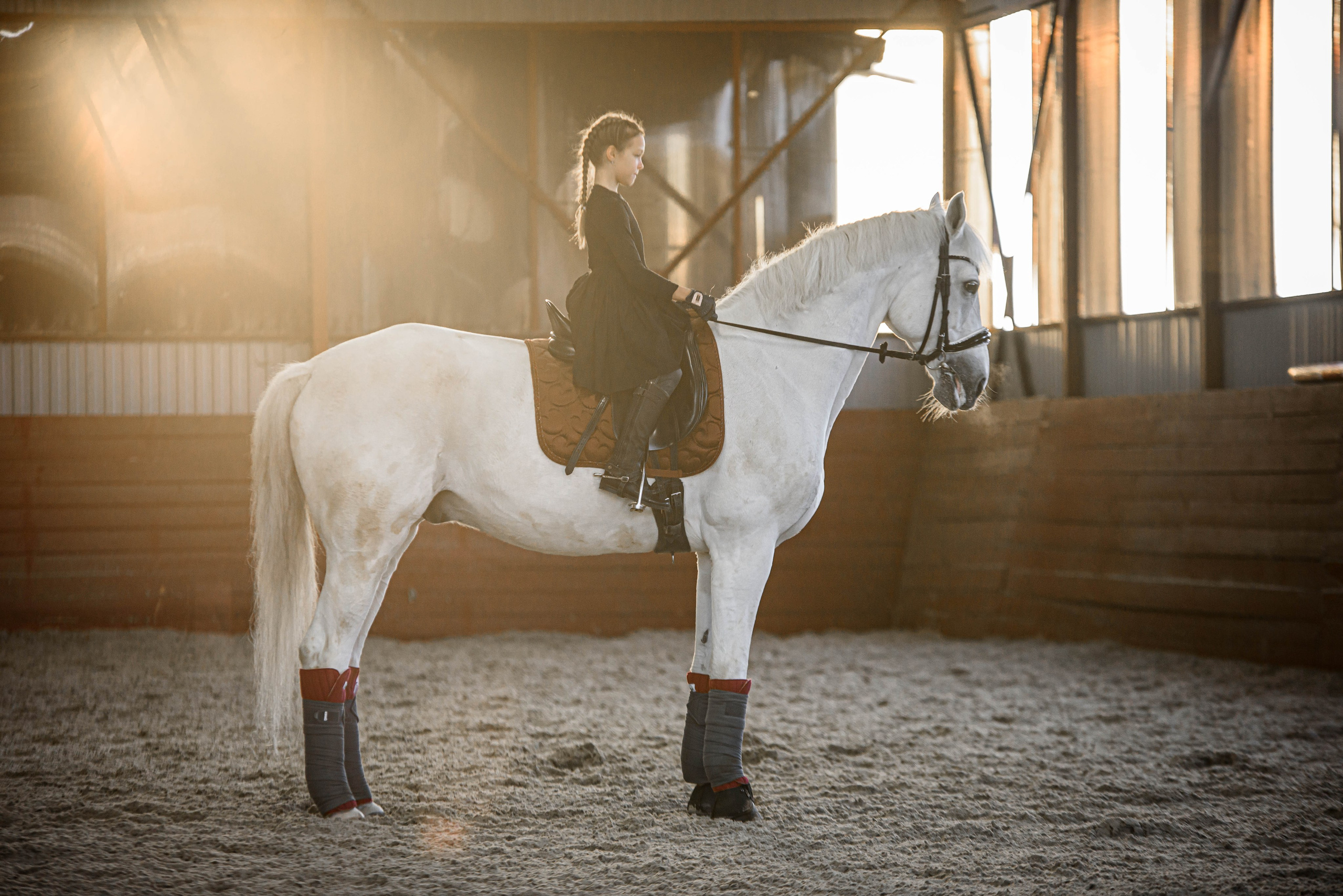 Кони. Мотофотограф в Нижнем Новгороде Динара Зуйкова